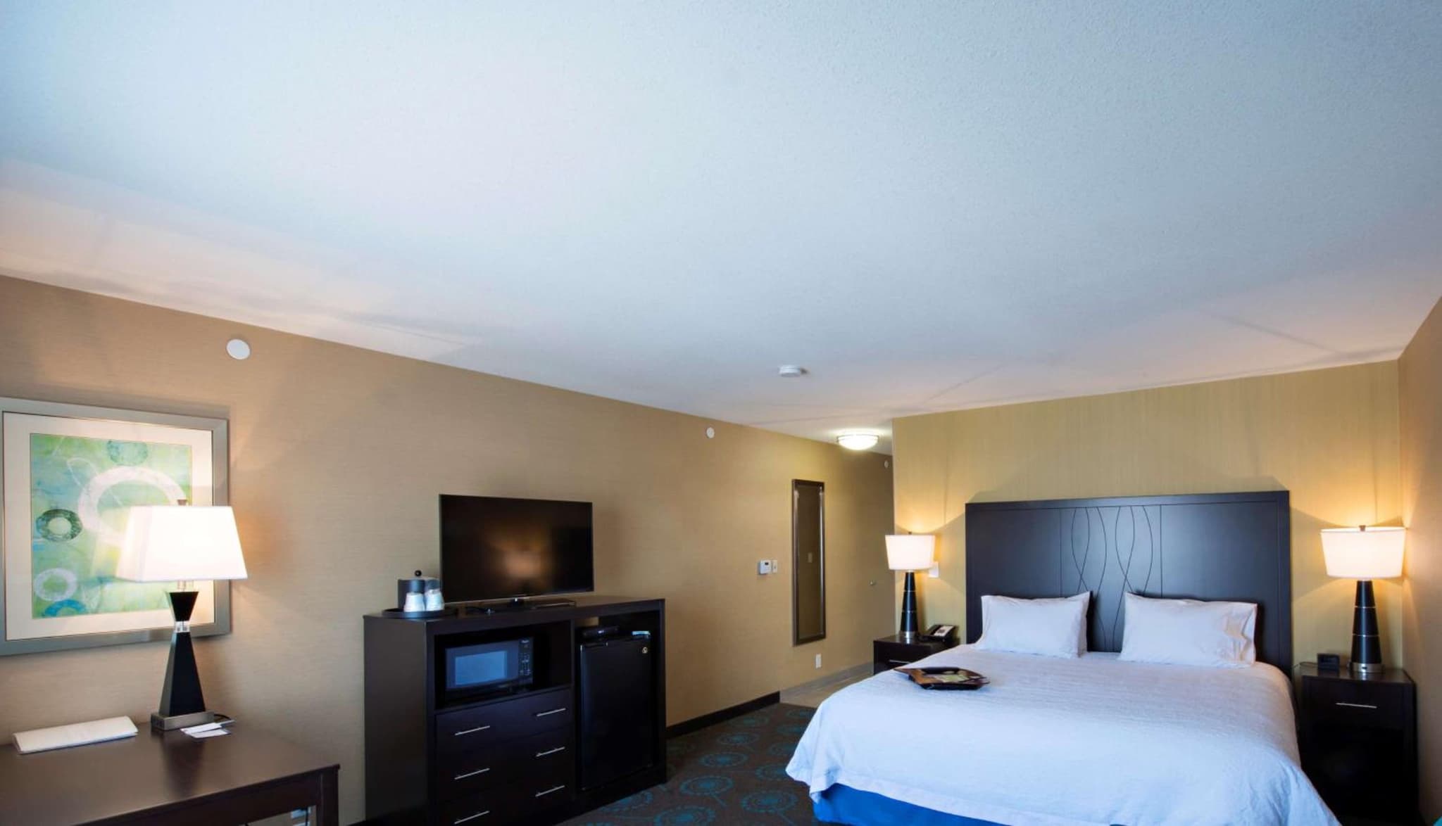 Hampton Inn Saskatoon South photo 4