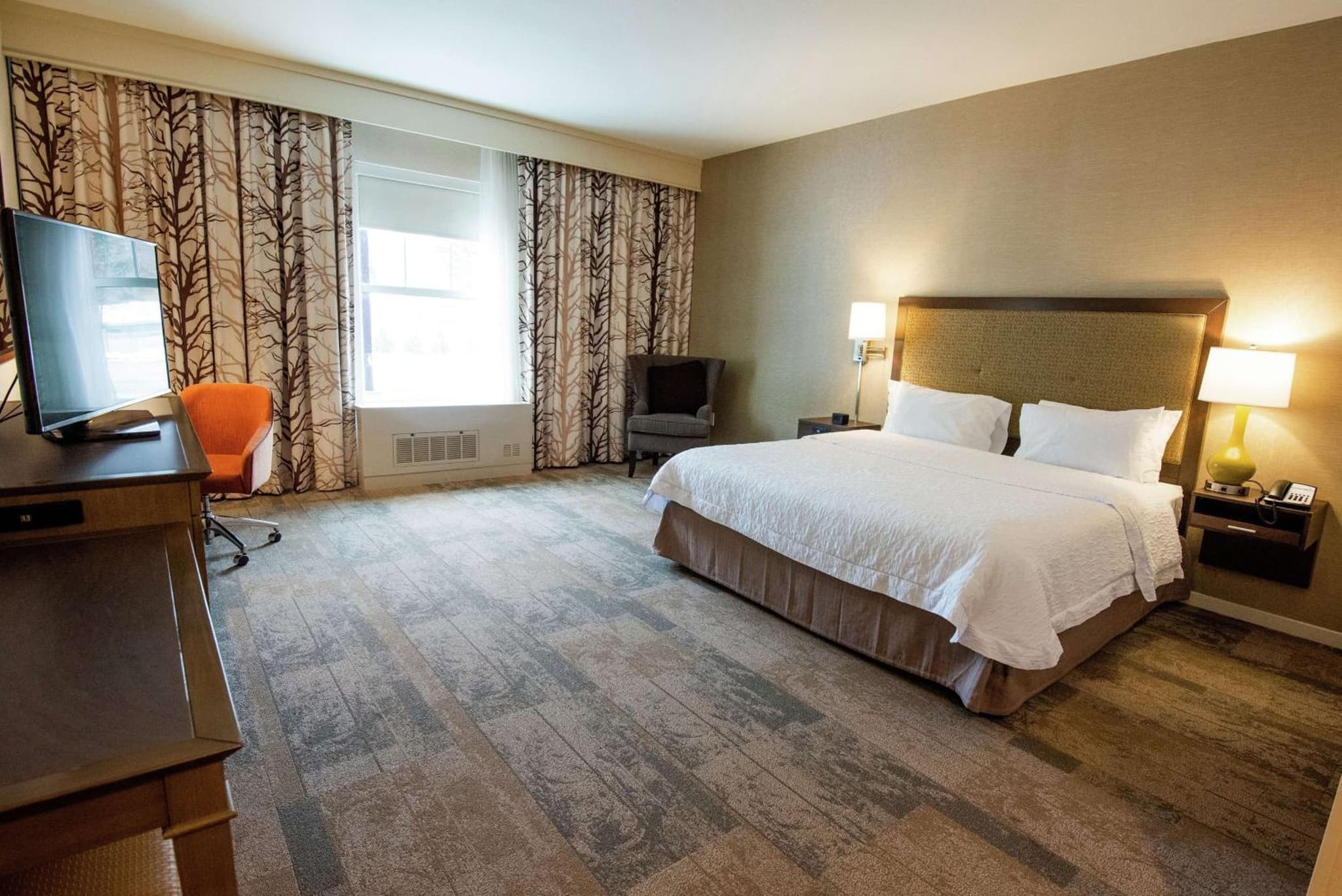 Hampton Inn & Suites Manchester, Vt photo 2