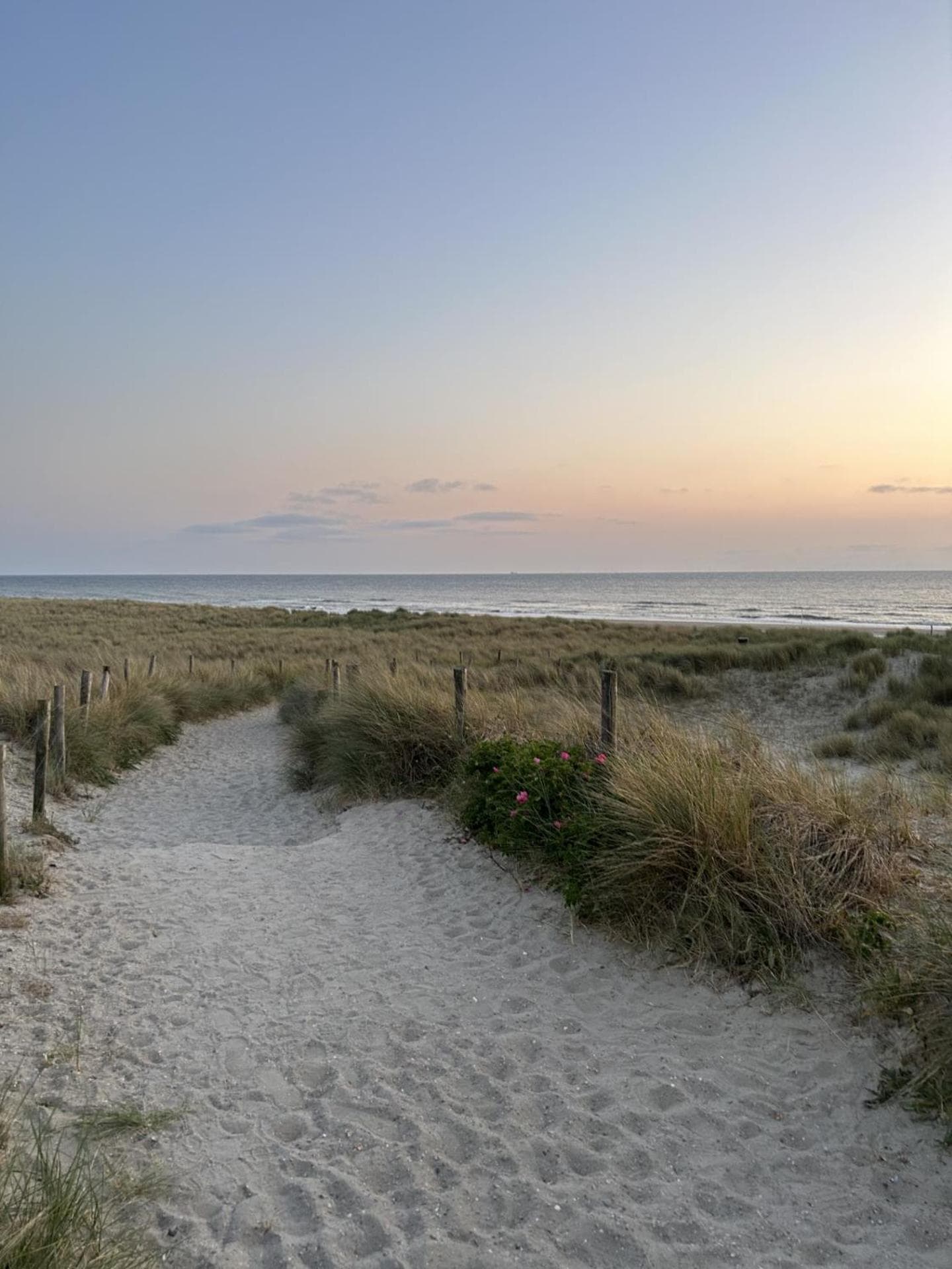 Breezy Beach Chalet photo 8