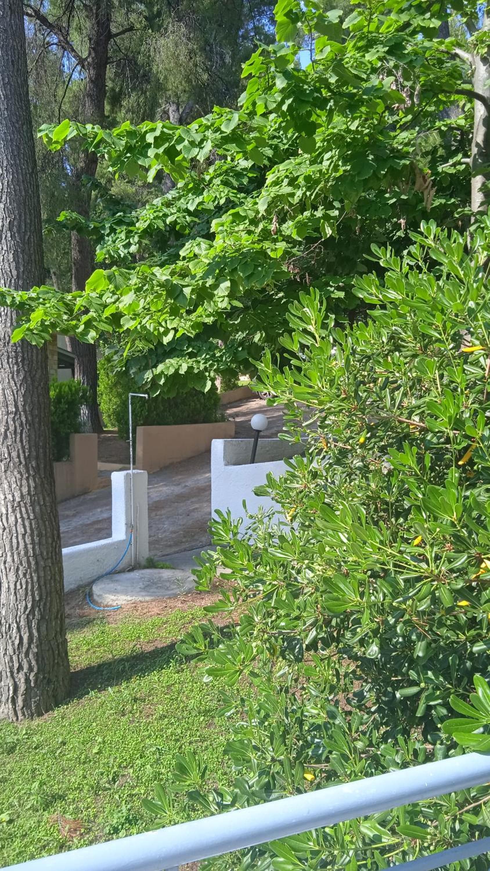 Villa Angie photo 7