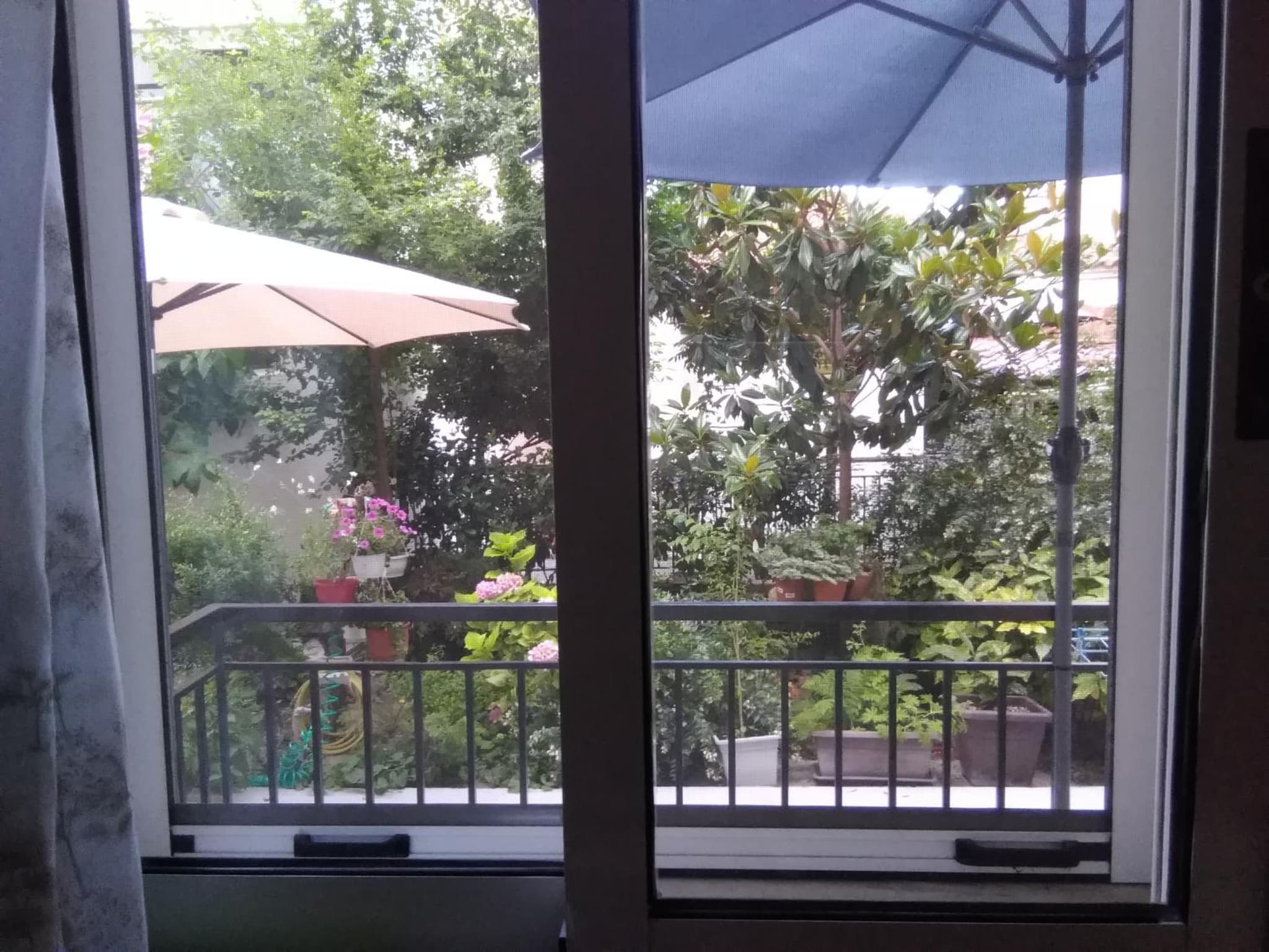 Tatiana`s apartments photo 6