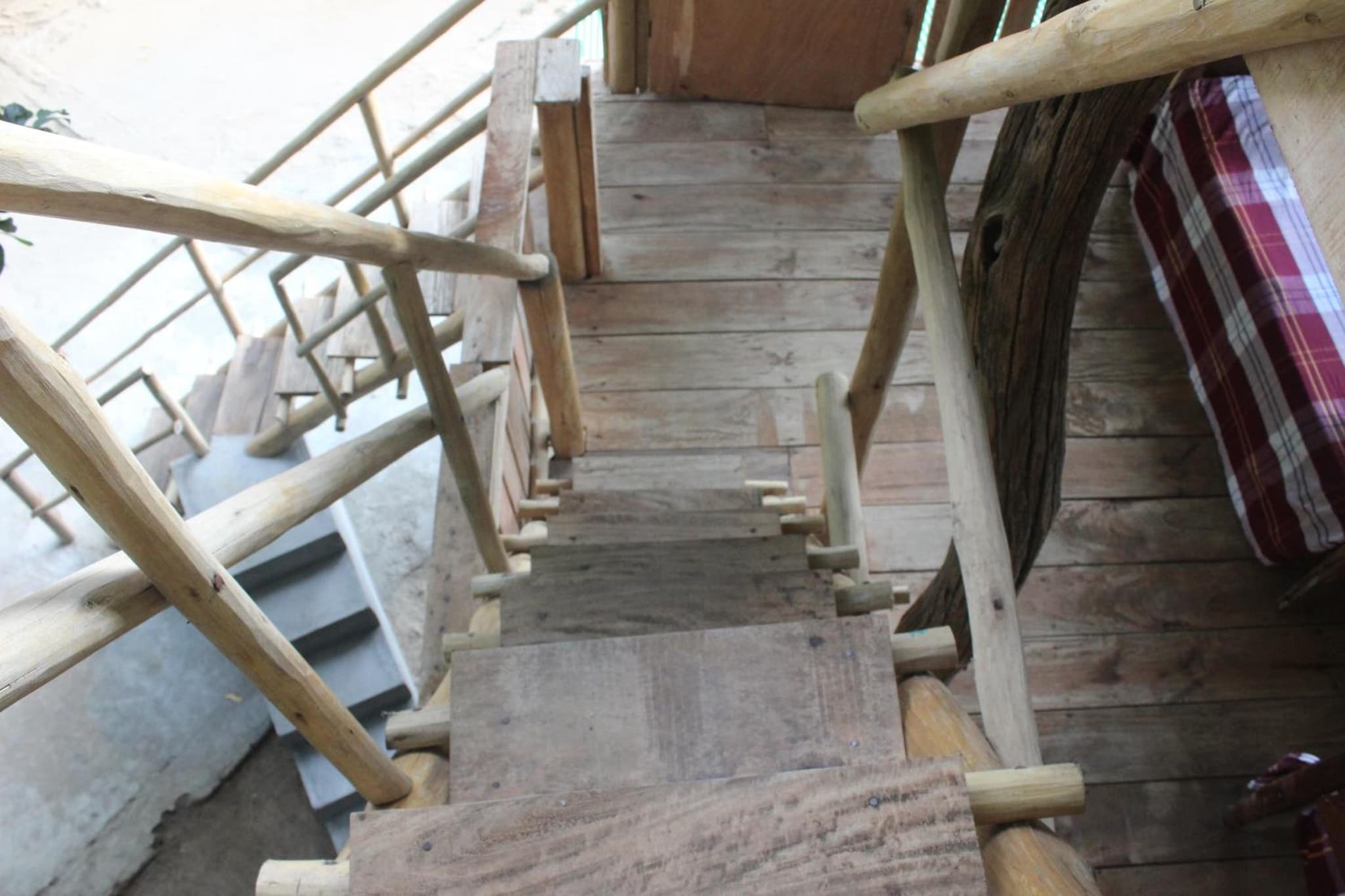 Forest Tree Top Holiday Resort photo 7