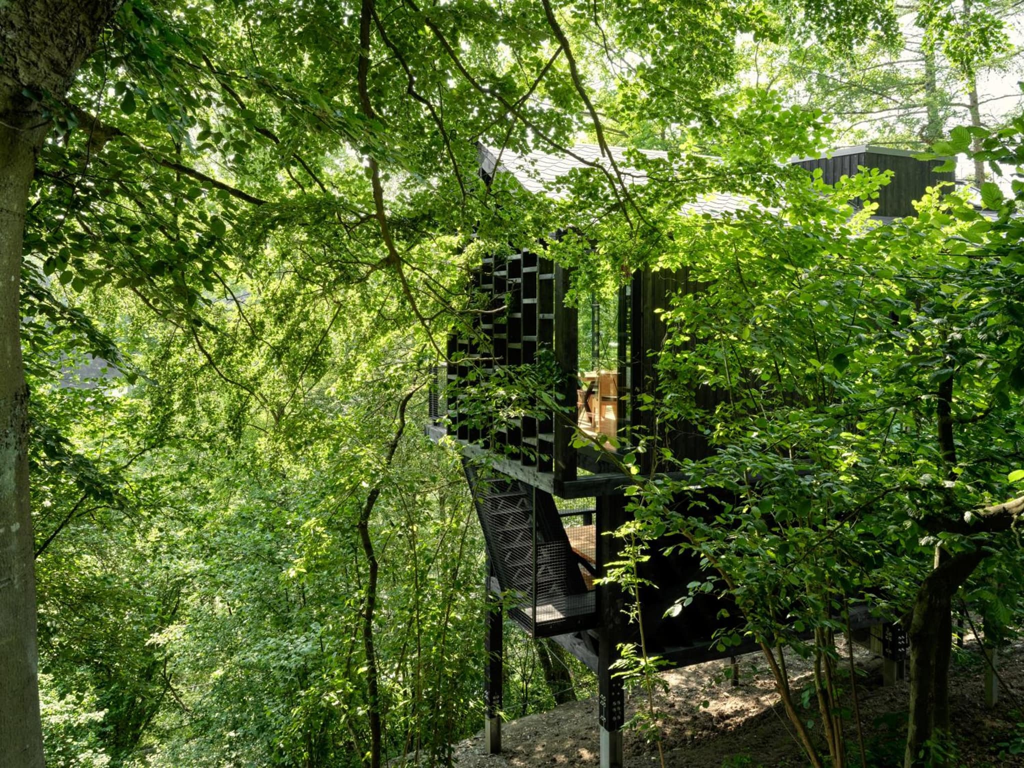 Hutstuf La Roche-en-Ardenne photo 8