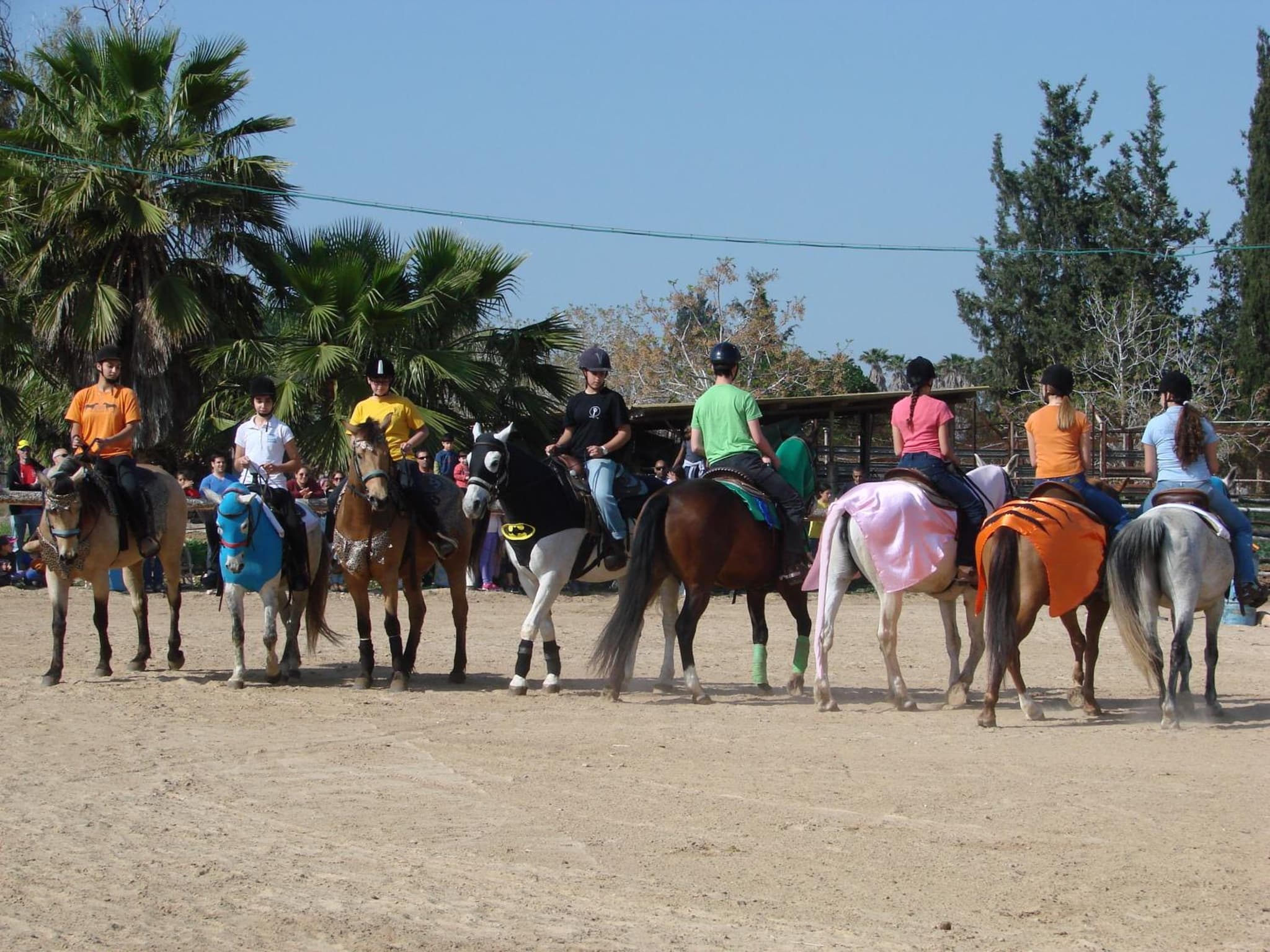 Gan Hakramim Country Lodging photo 9