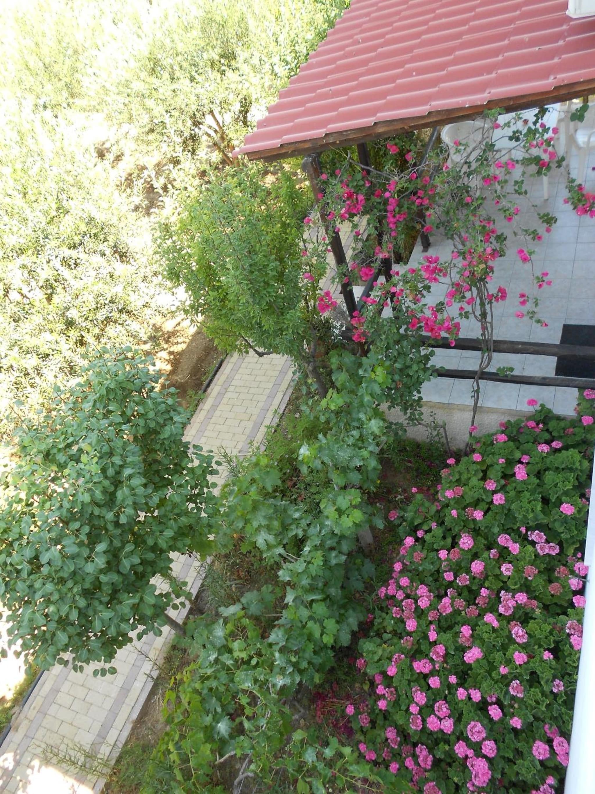 Caviri photo 3