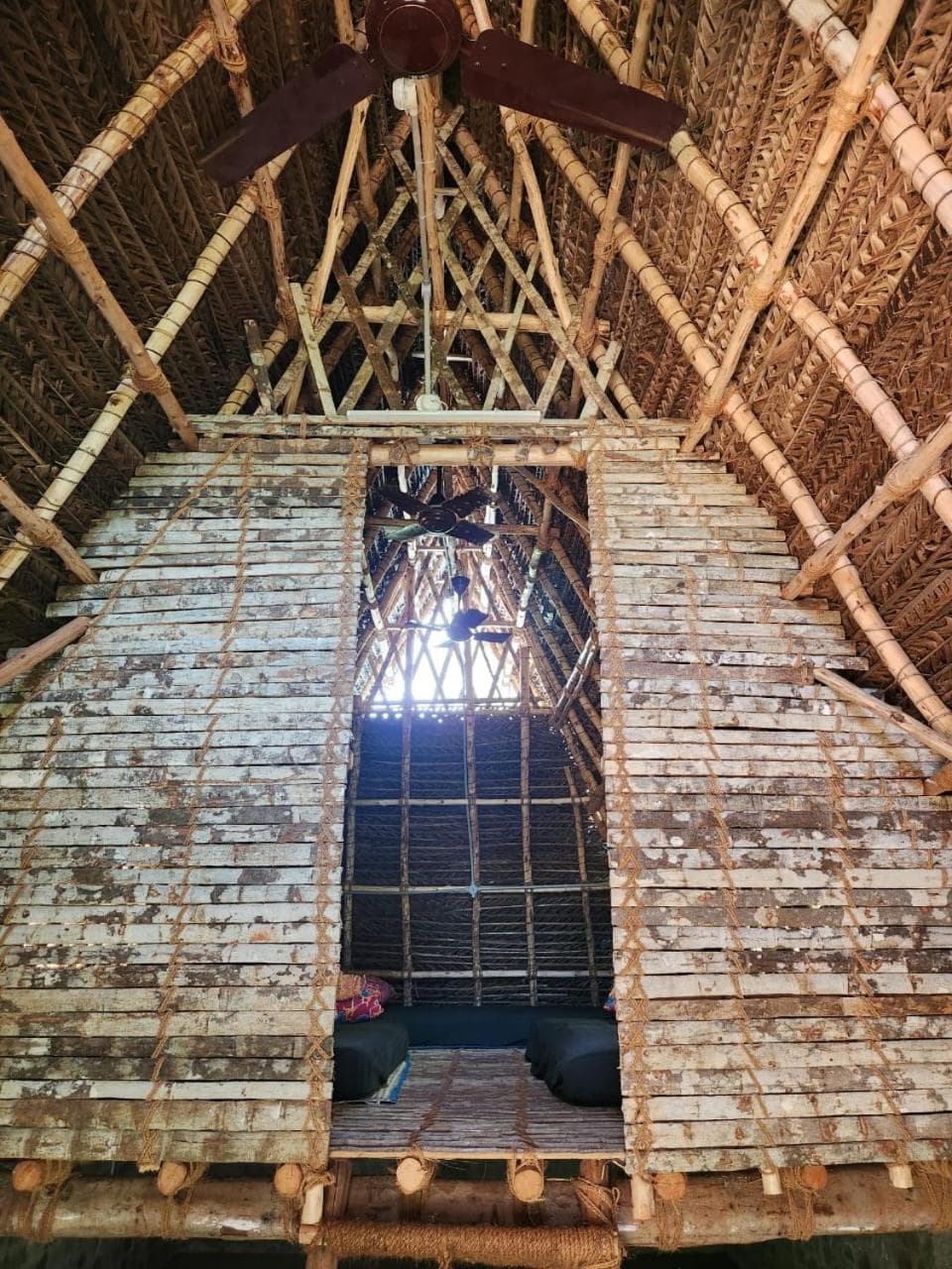 Nebula Nest Cafe & Hostel photo 4