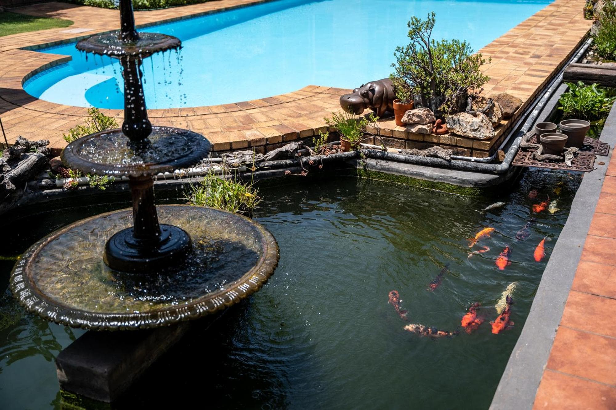 Asante Guest House photo 8