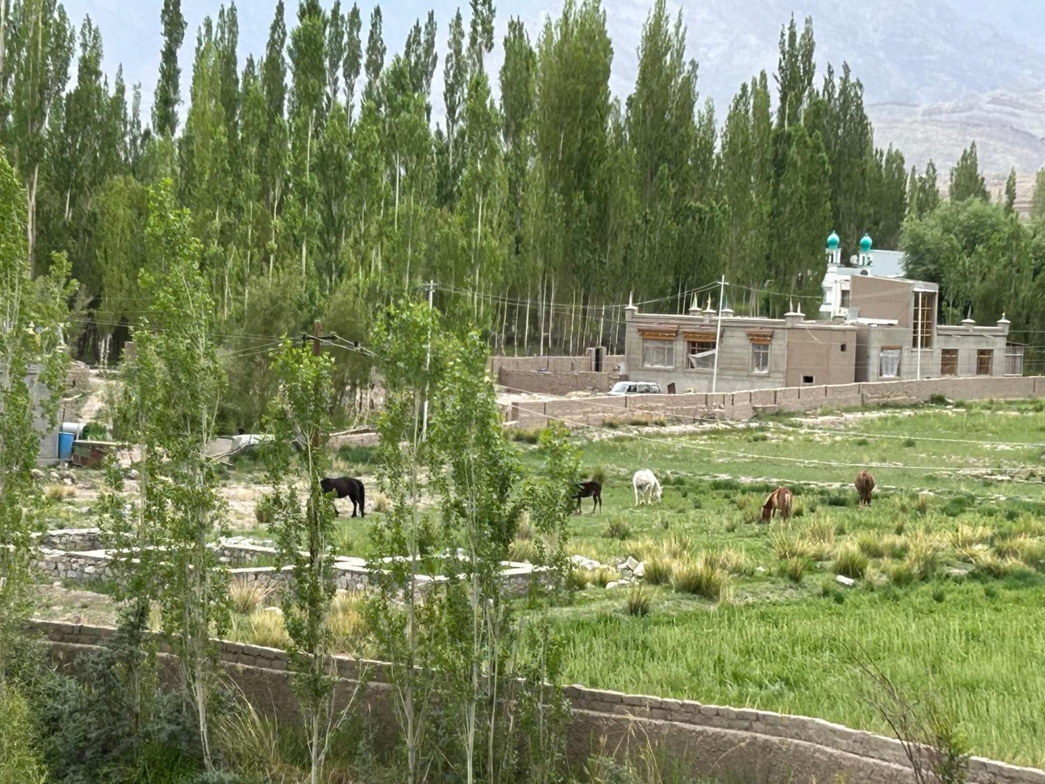 Nature Palace Farmstay photo 7