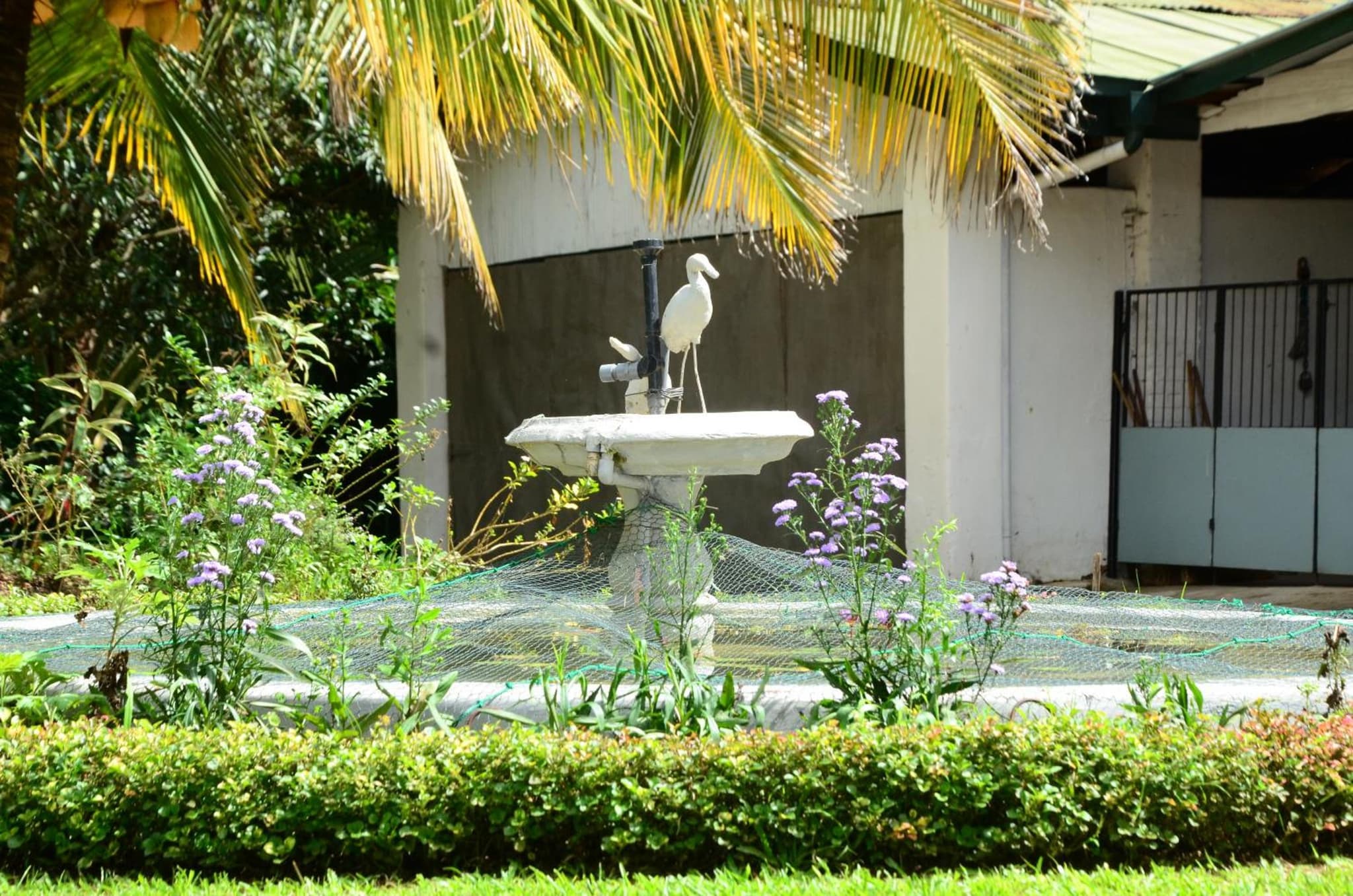 Wattarantanne homestay photo 6