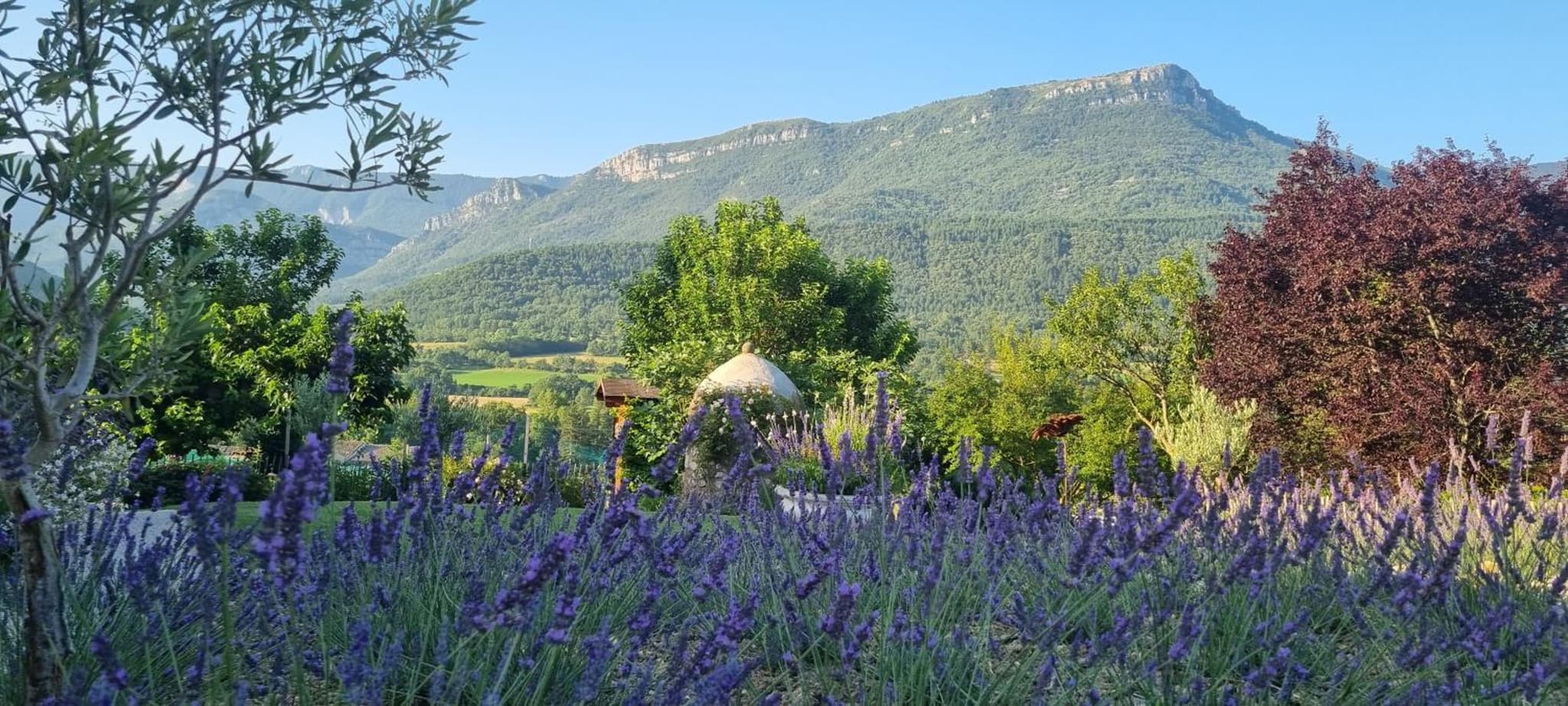 Mas Tulipe de Soie photo 9