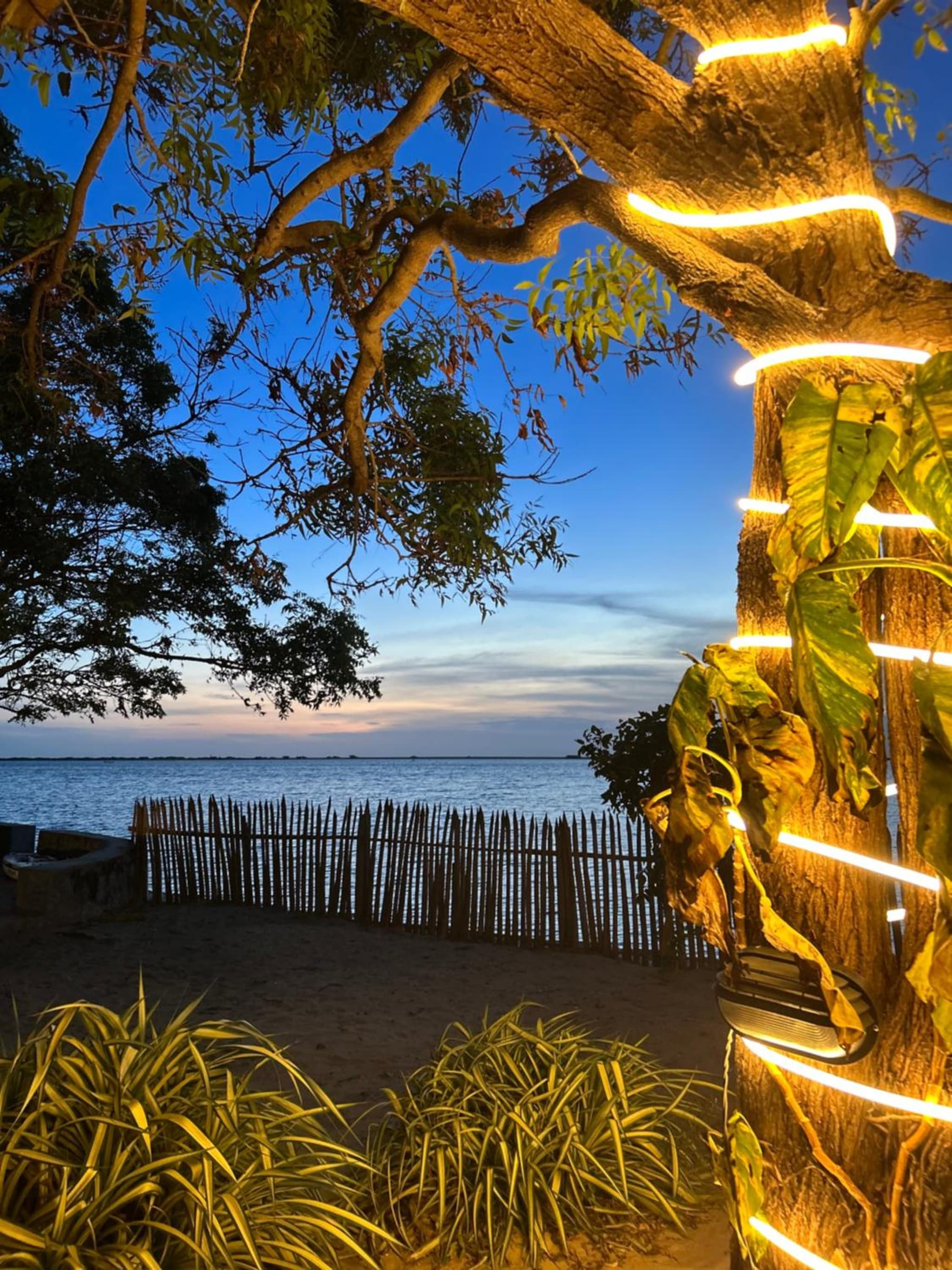 Arasi Resort photo 4
