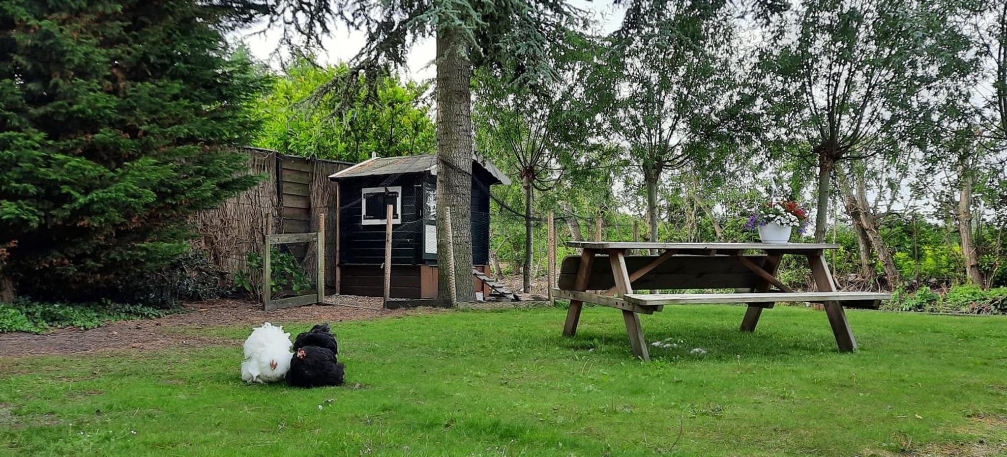 Rustiek Andijk photo 9