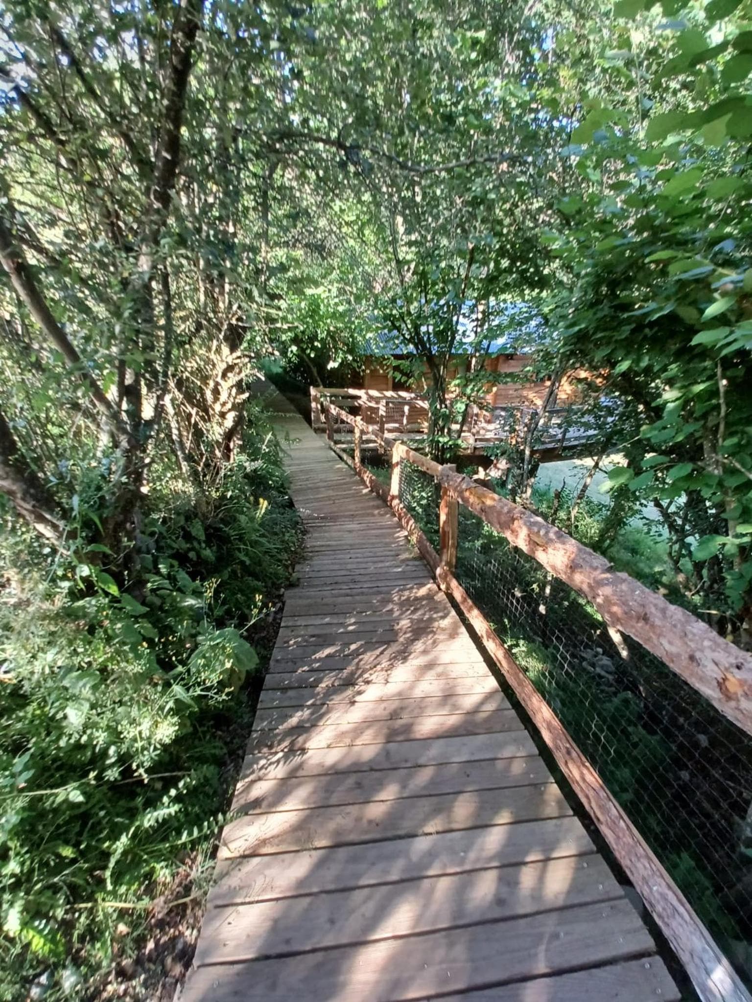 IRATIKO KABIAK photo 2