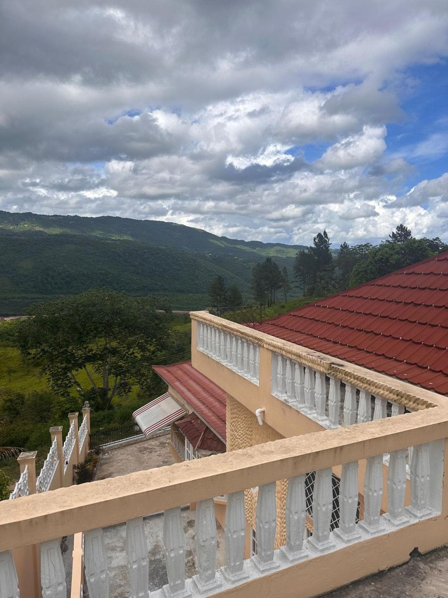 Lion’s View Bed & Breakfast photo 8
