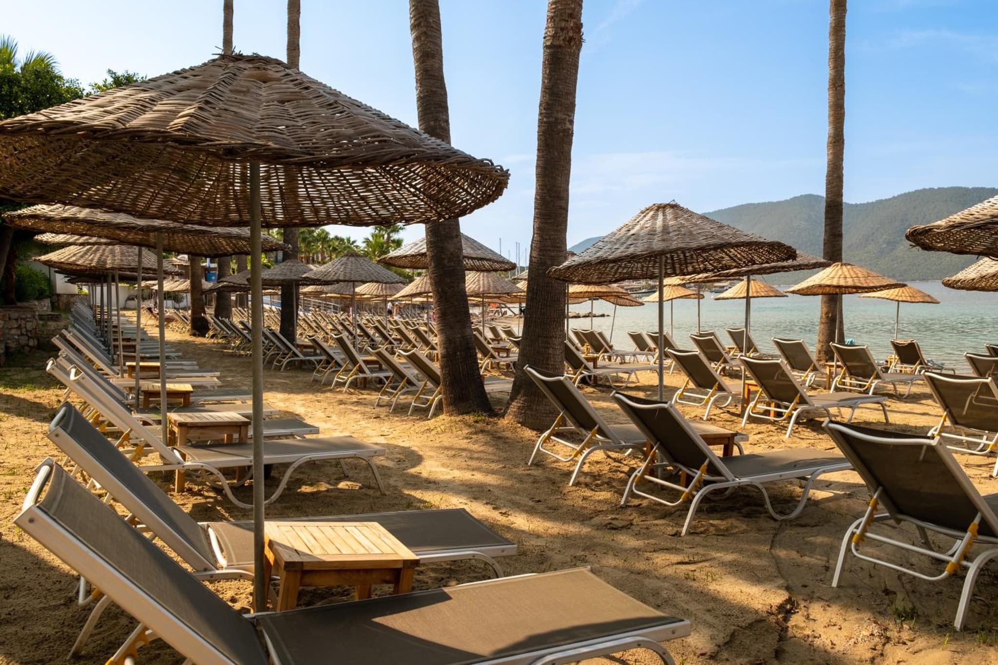 TUI MAGIC LIFE Bodrum - Adults Only photo 6