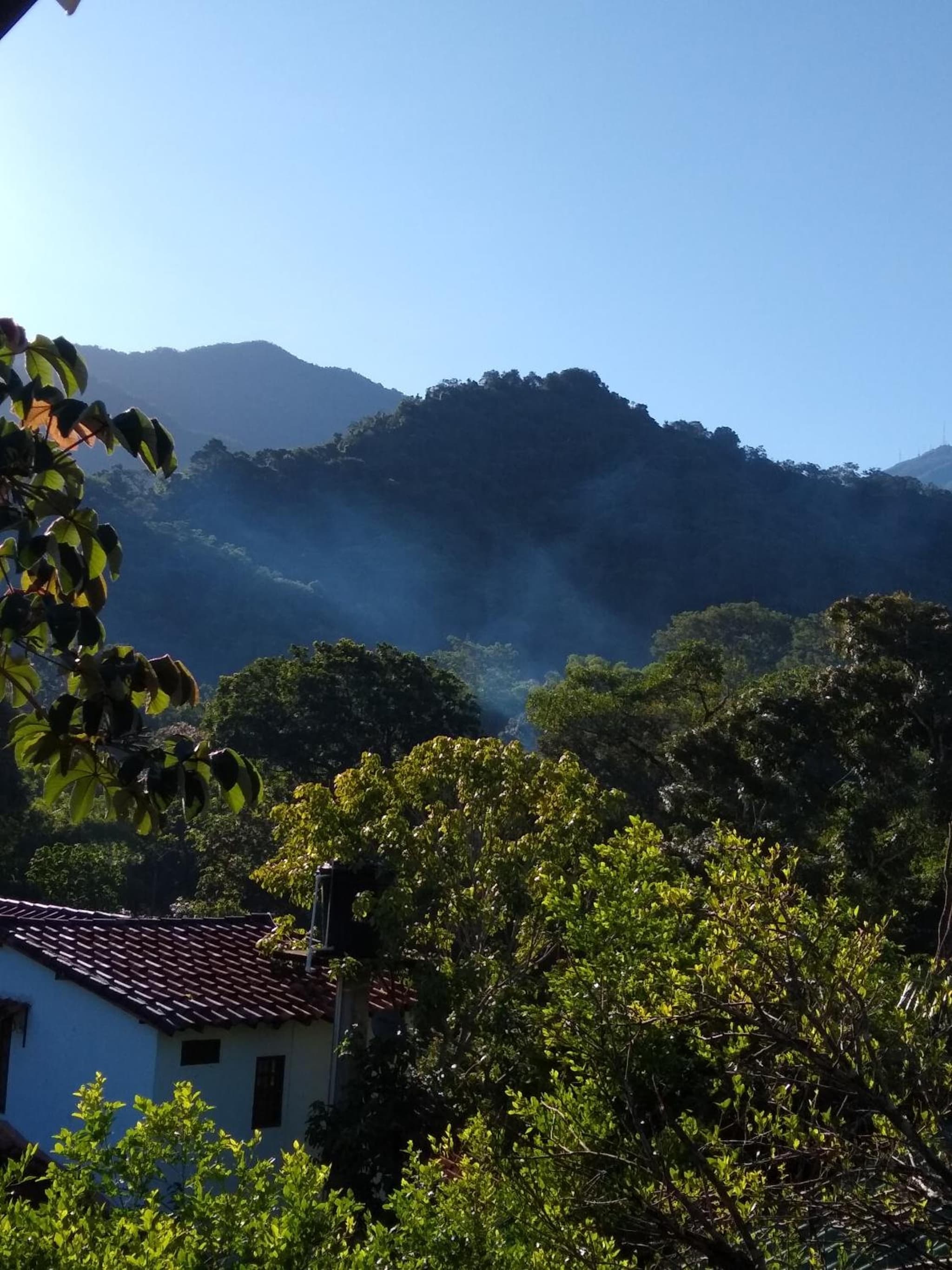 Bosque Azul Picaflor photo 8