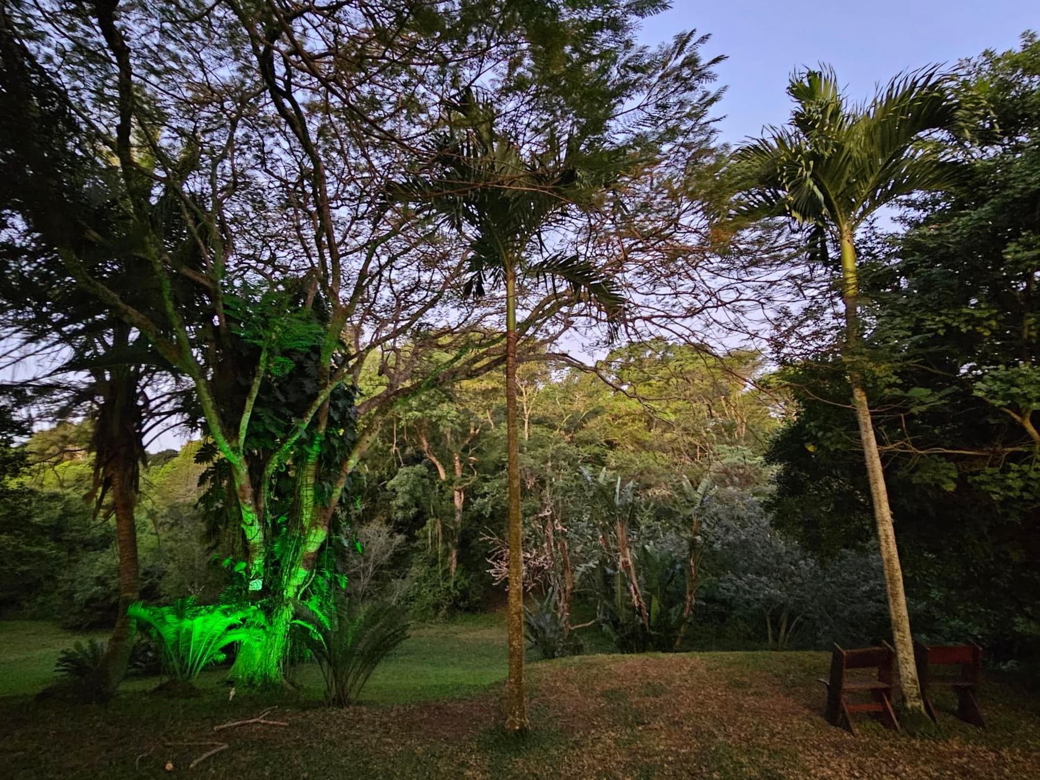 Leopard Tree Lodge photo 8