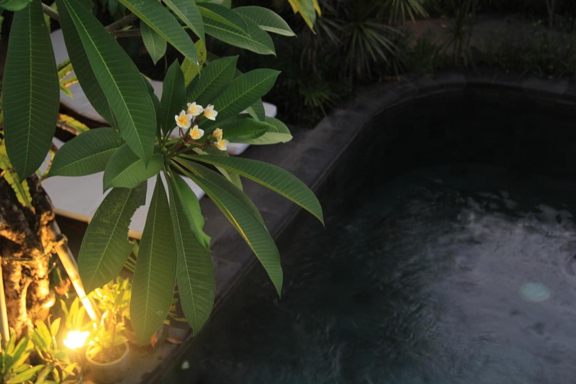 Semarandana Bedrooms and Pool photo 6