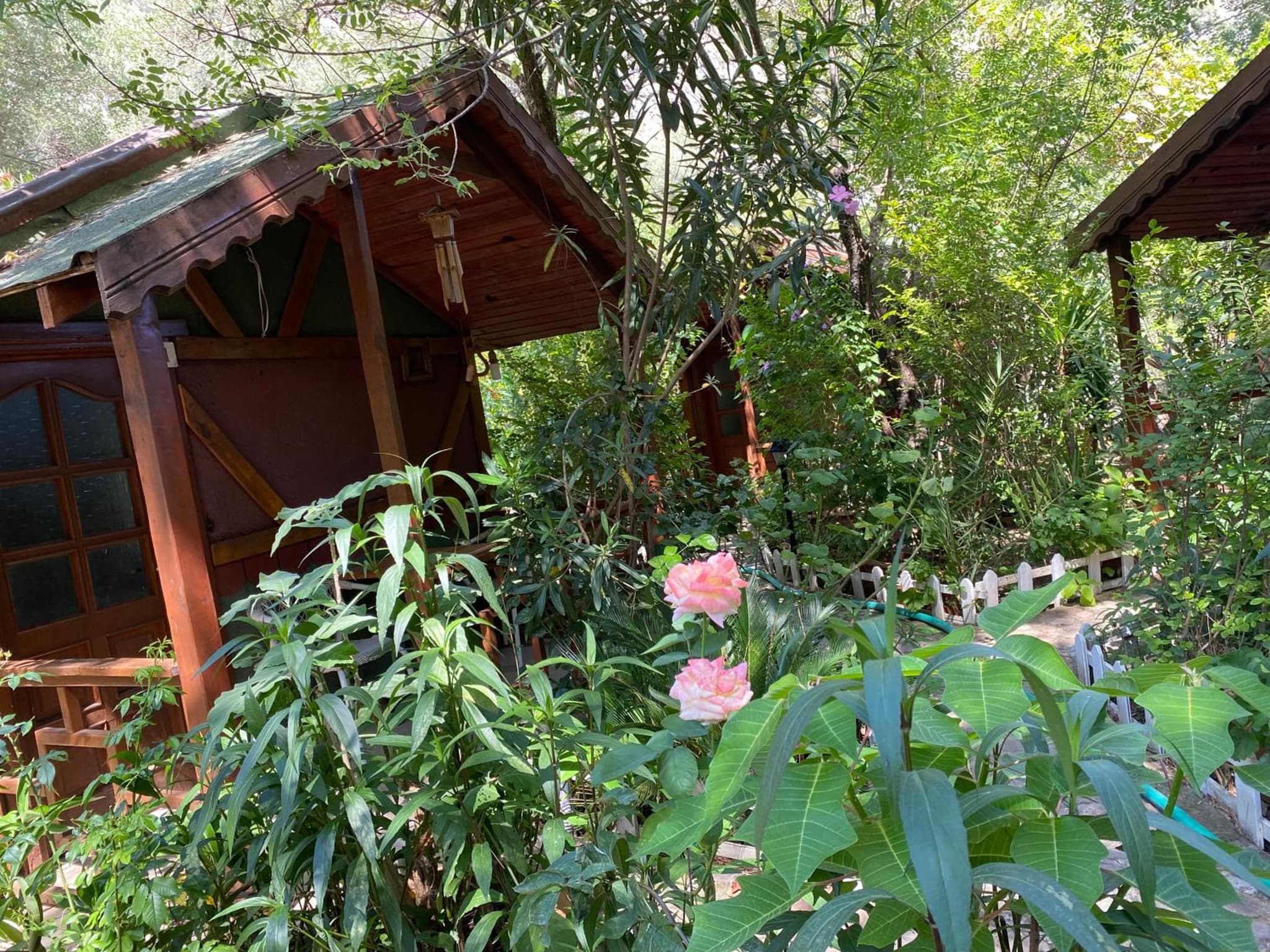 Canario Bungalows photo 8