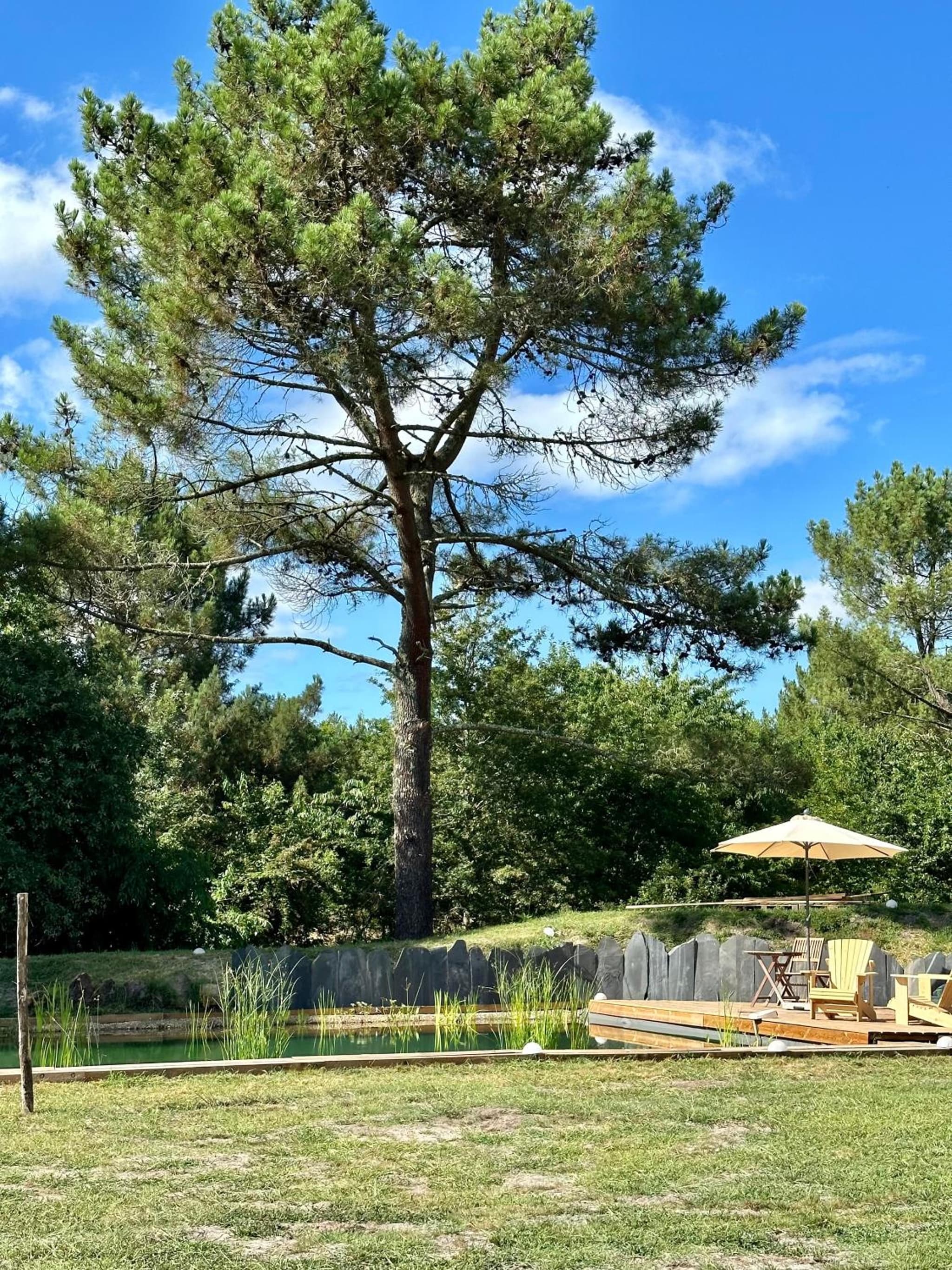 Maison Magnolia photo 5