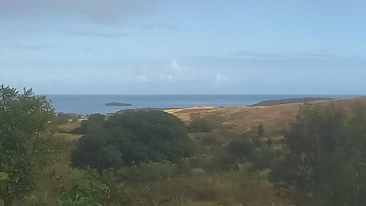 Sur la route des tortues photo 9