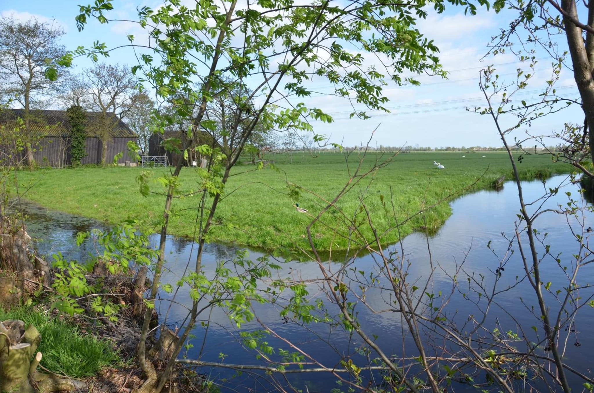Bed and breakfast Hoeve Spoorzicht photo 3