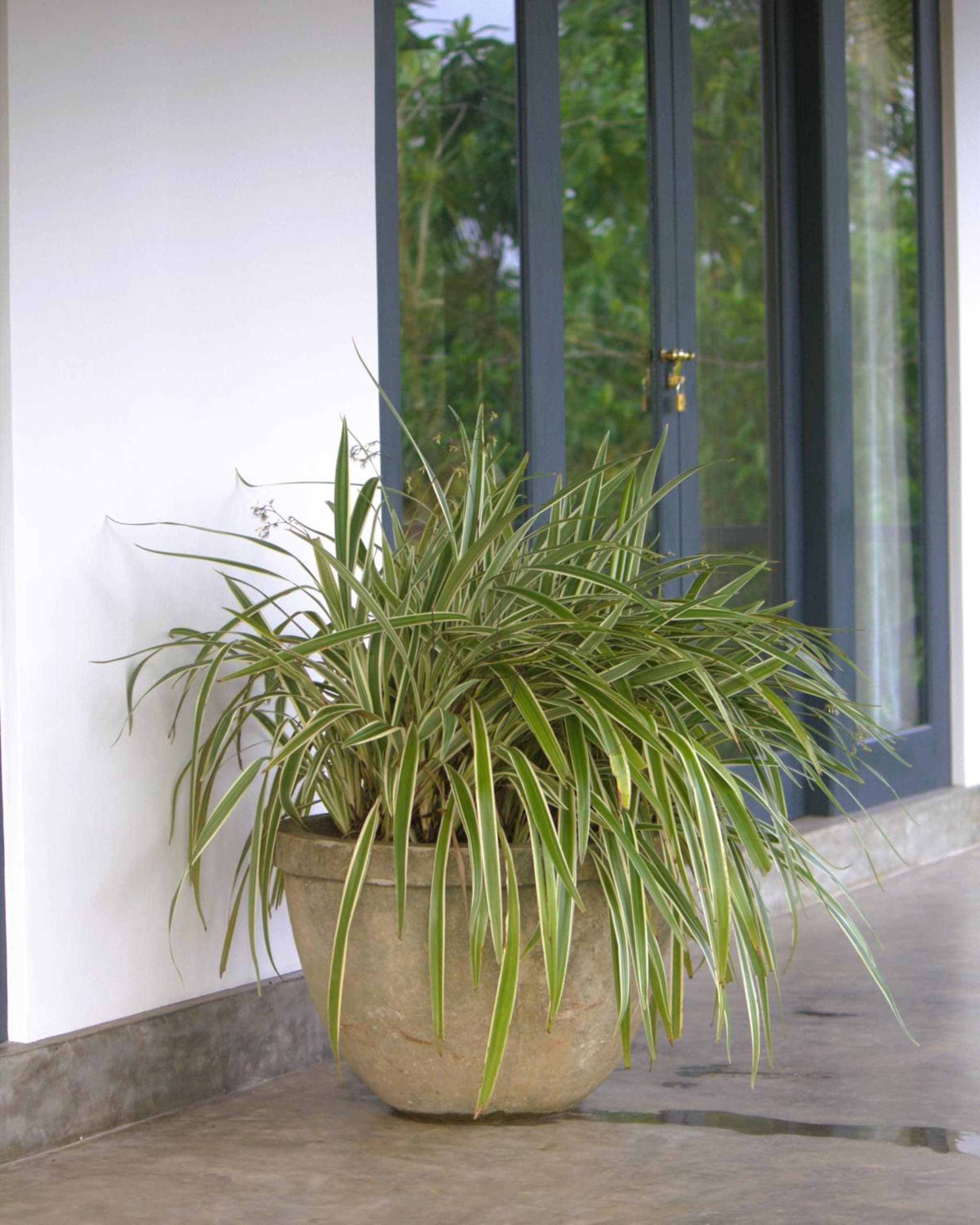 Ebony Boutique Villa photo 8