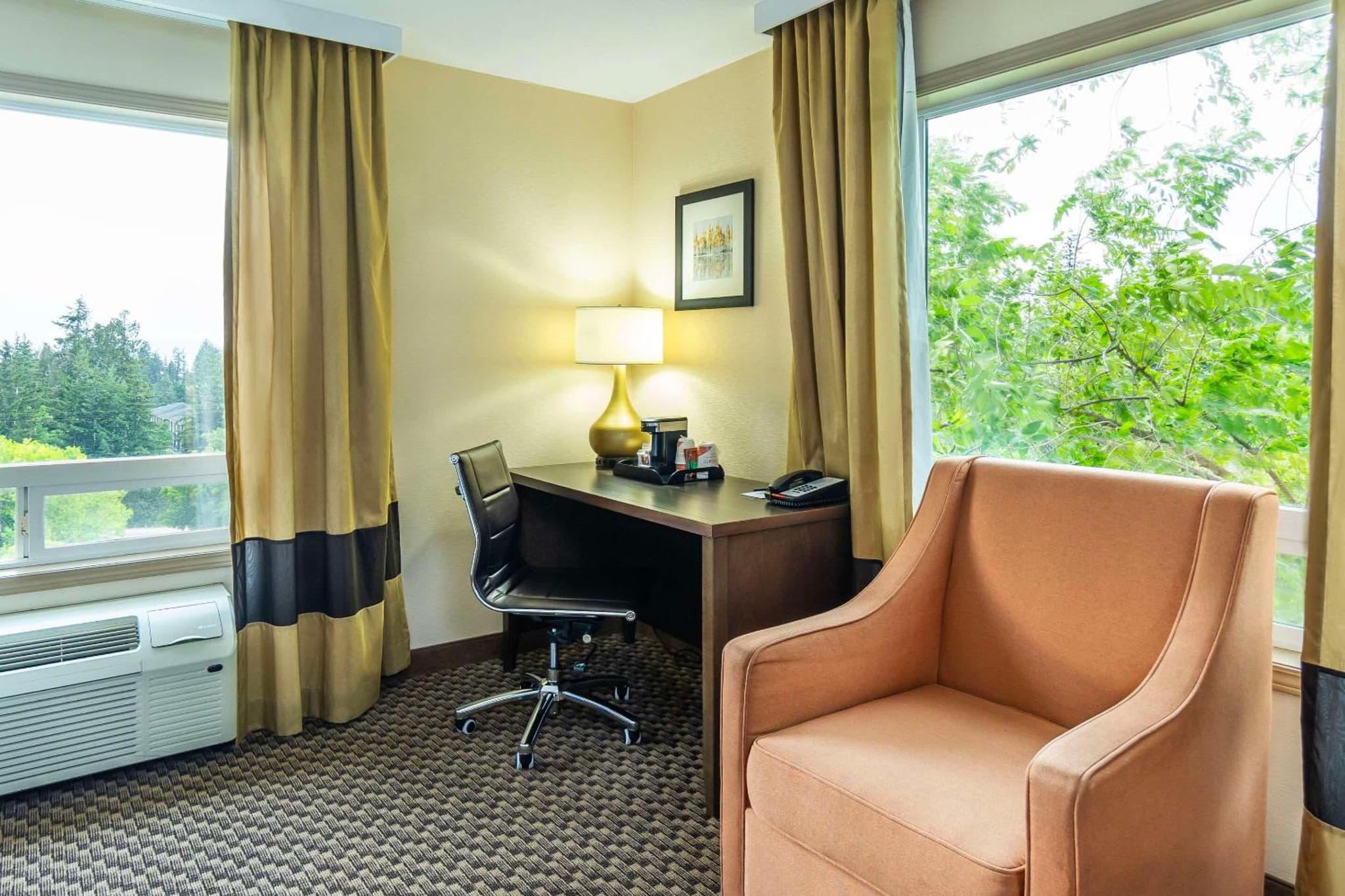 Comfort Inn & Suites photo 4