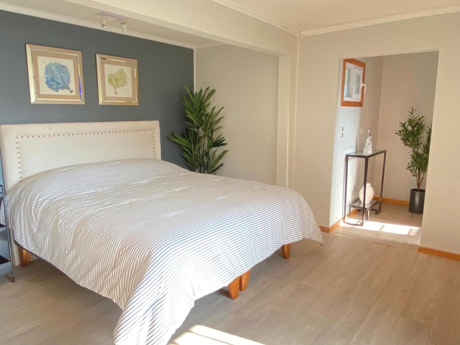 Hotel Boutique 501 photo 5