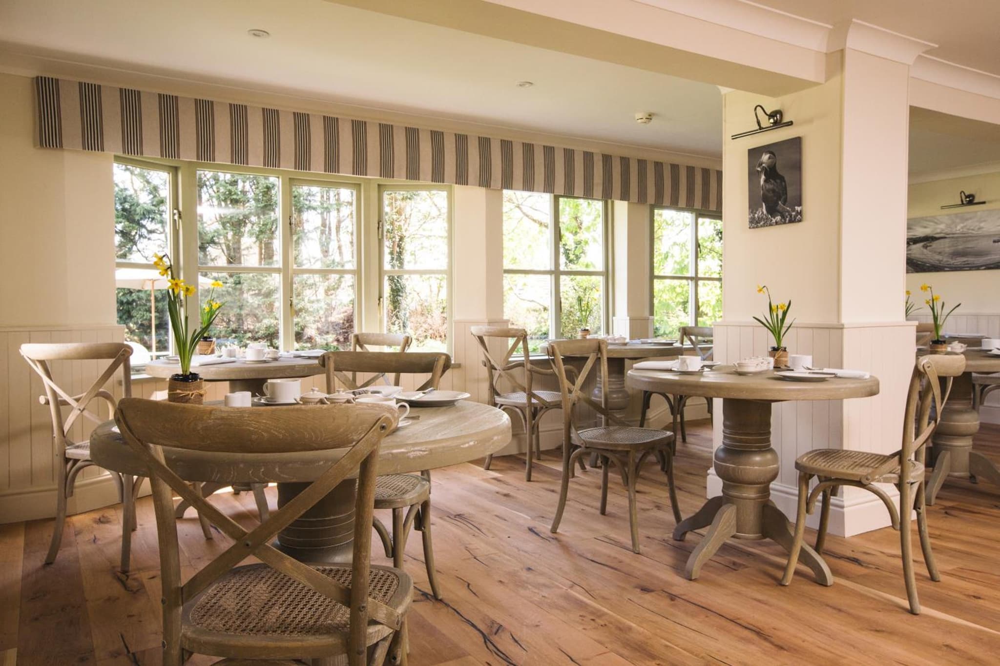 The Broadmead Boutique B&B photo 9