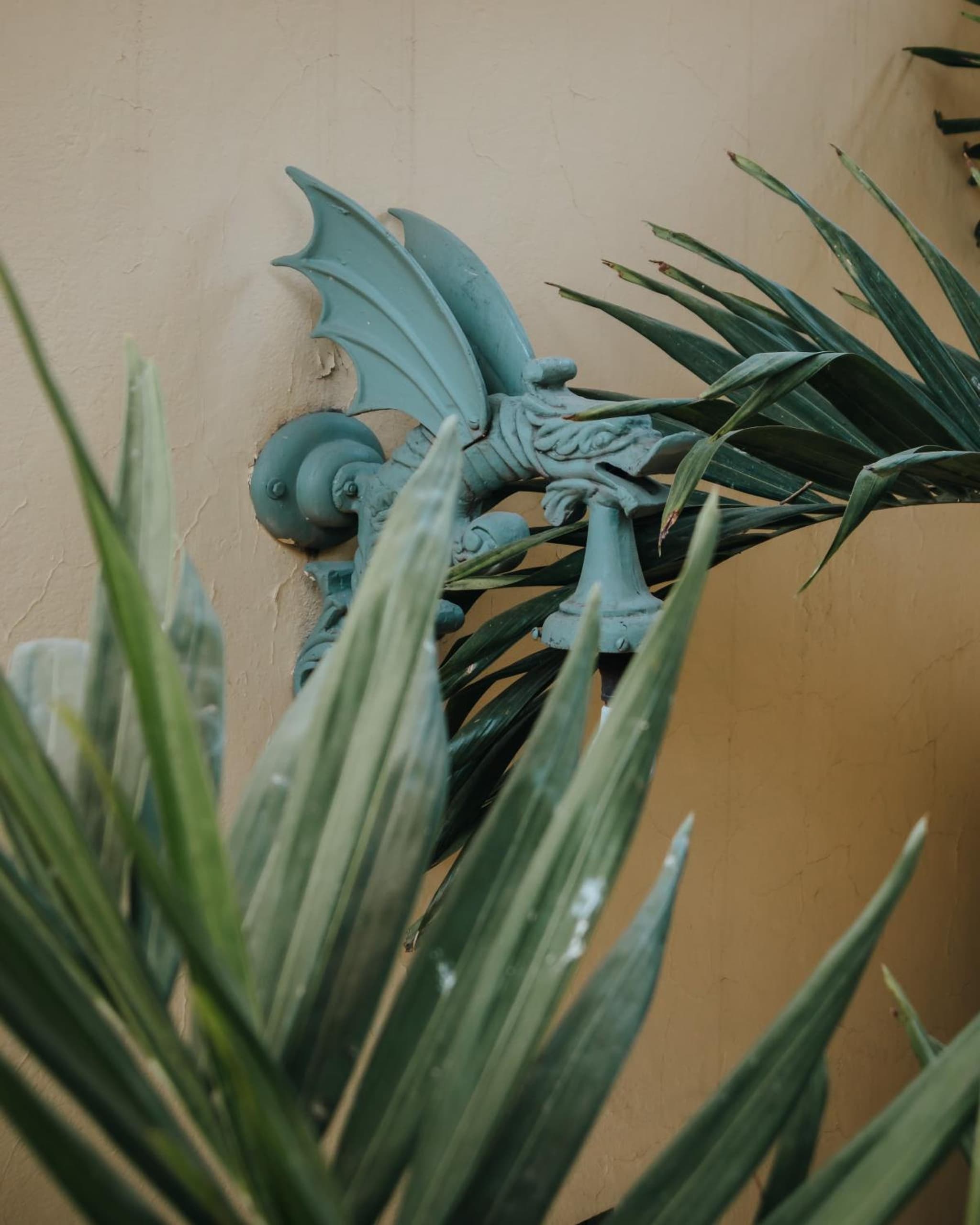 Casa Florida photo 4