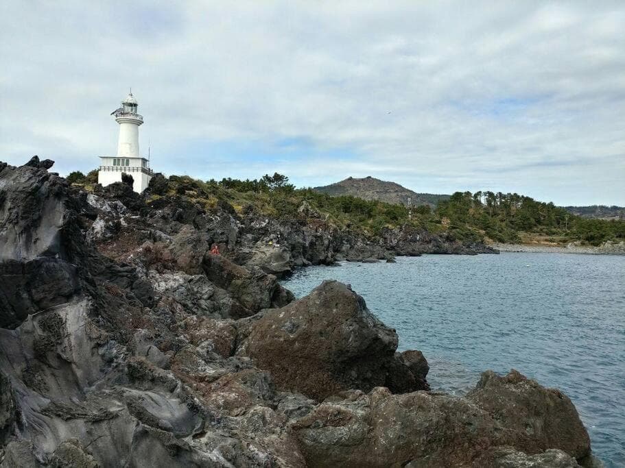 A shell in Jeju photo 3