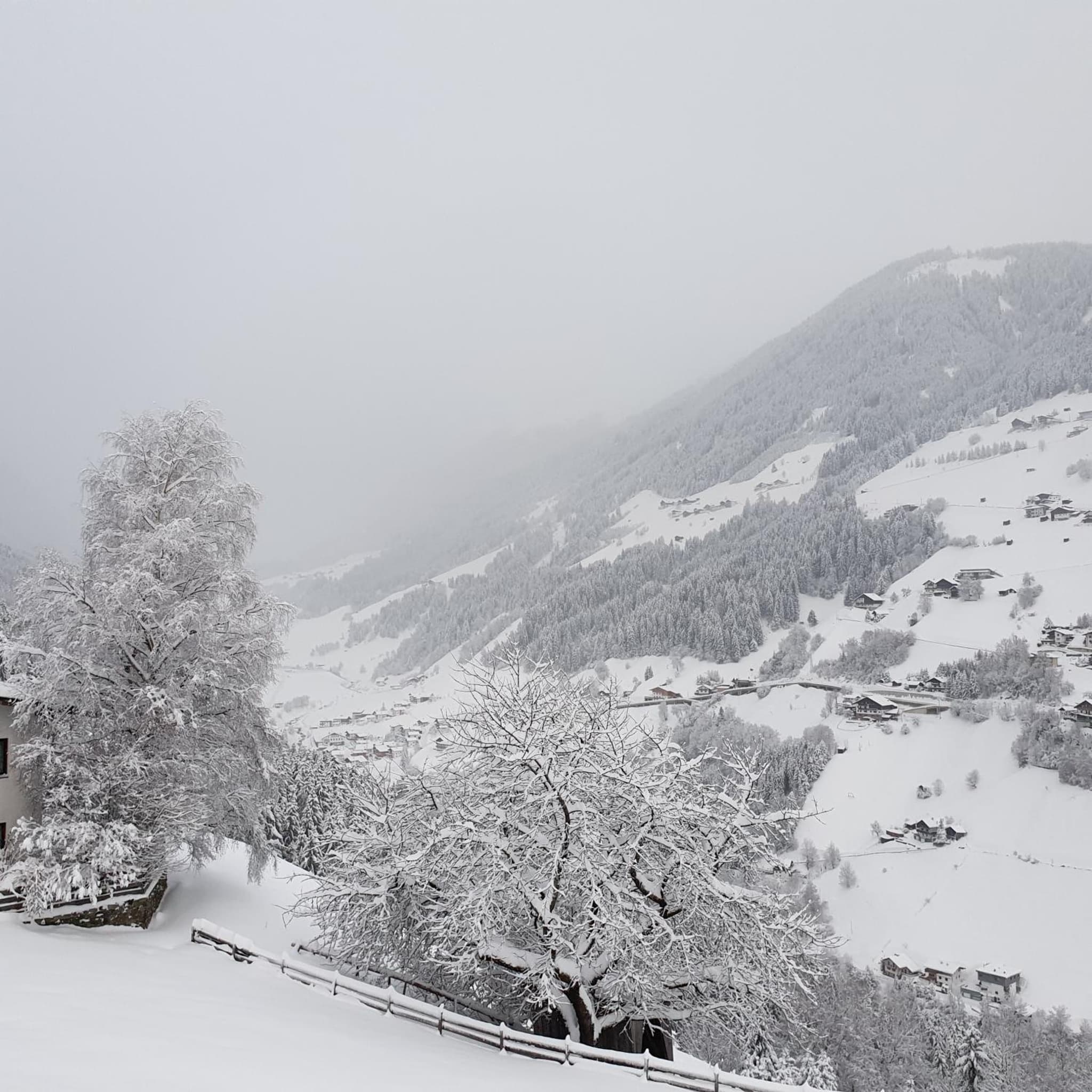 Bergbauernhof-Grinzens photo 5