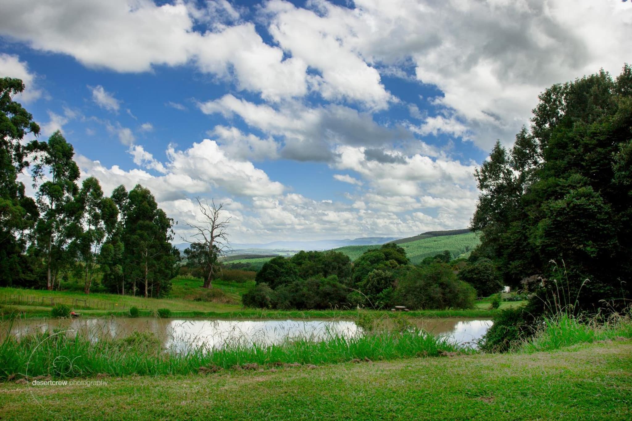Newstead Farm - Country Cottages photo 3