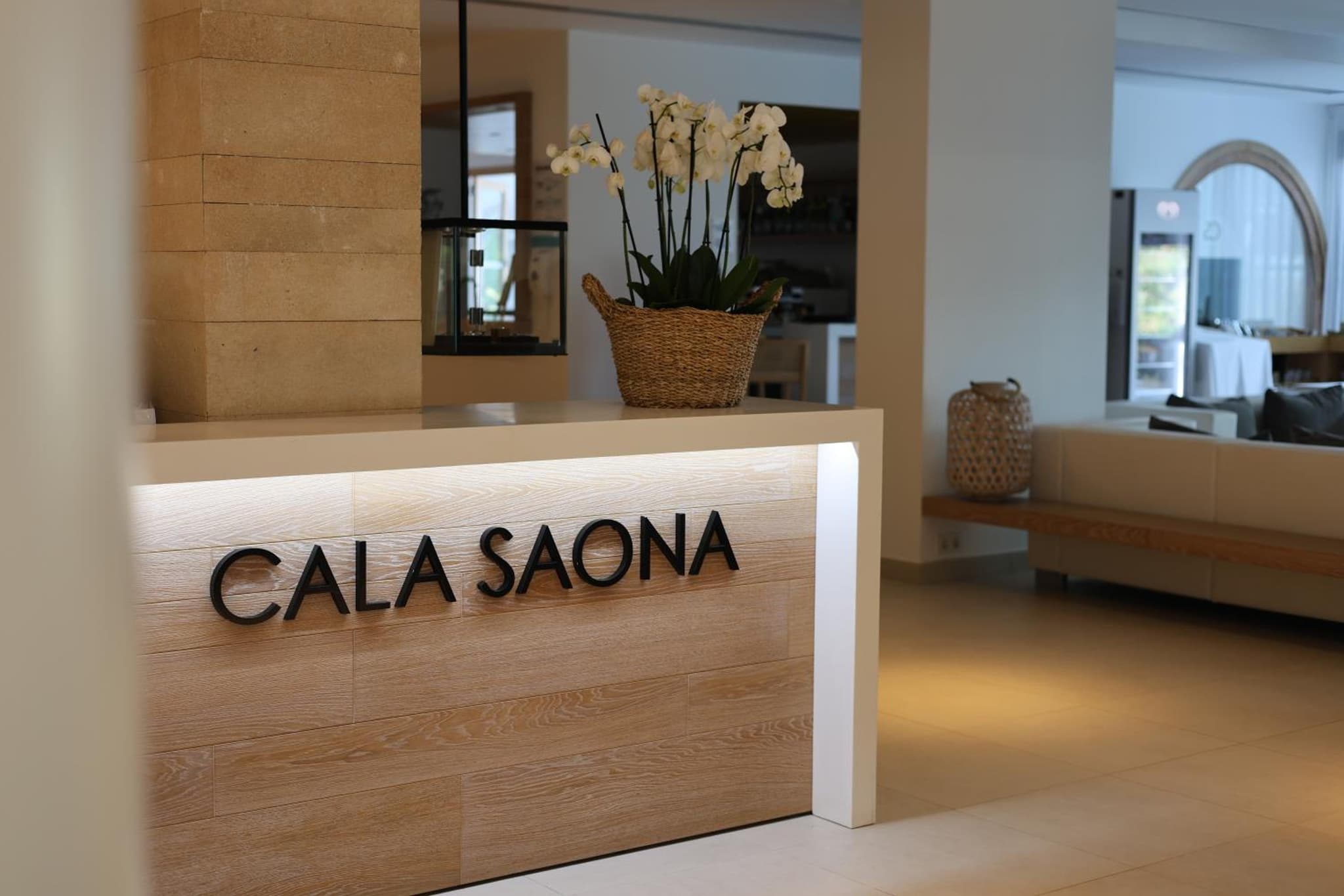 Hotel Cala Saona & Spa photo 8