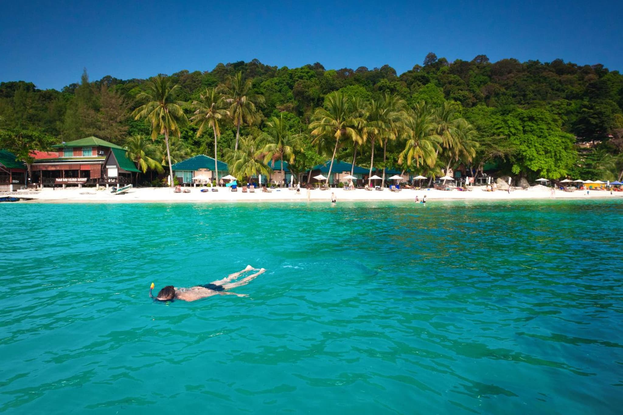 Tuna Bay Island Resort photo 3