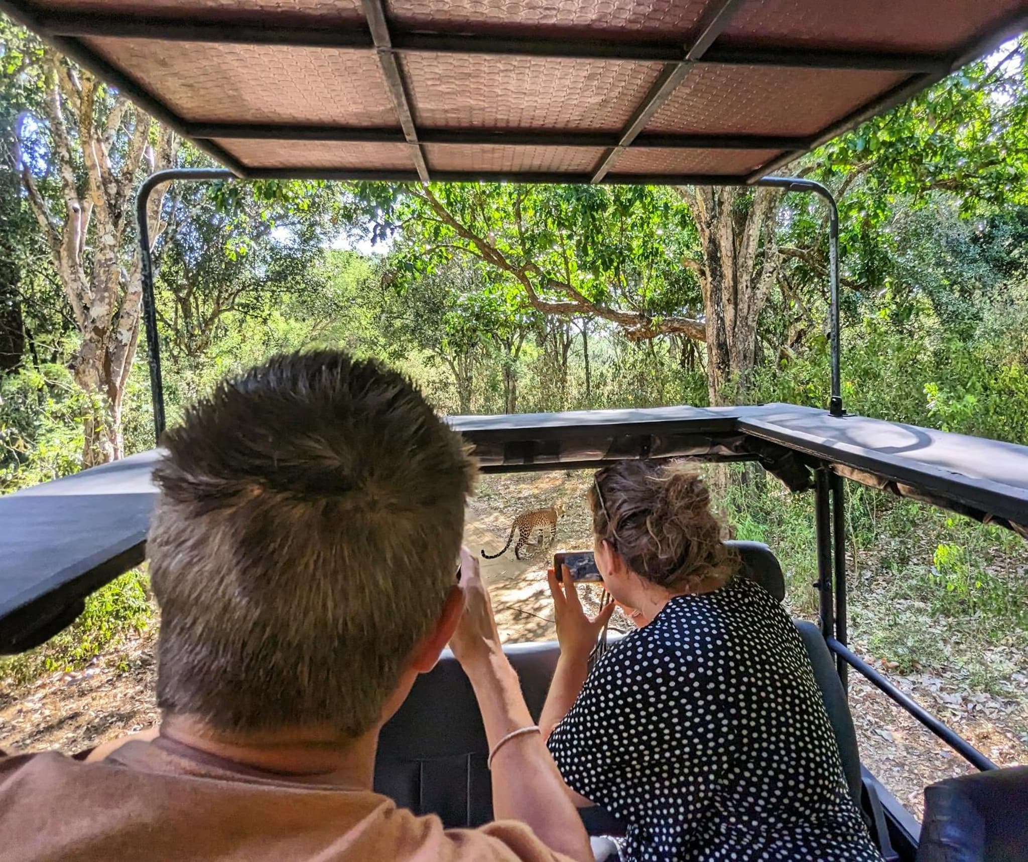 Yala Avian Eye Safari photo 8
