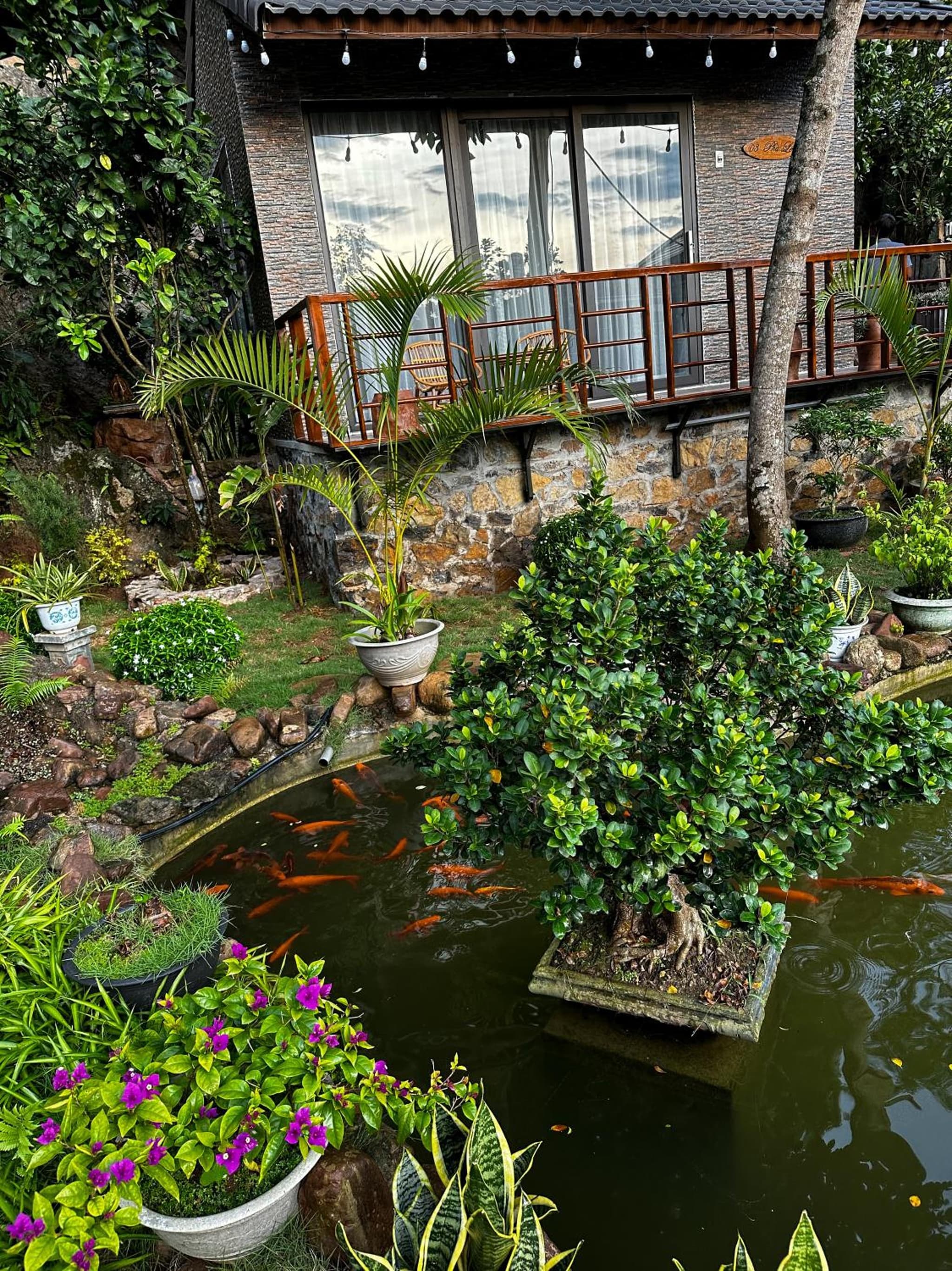 Gobies Garden photo 6