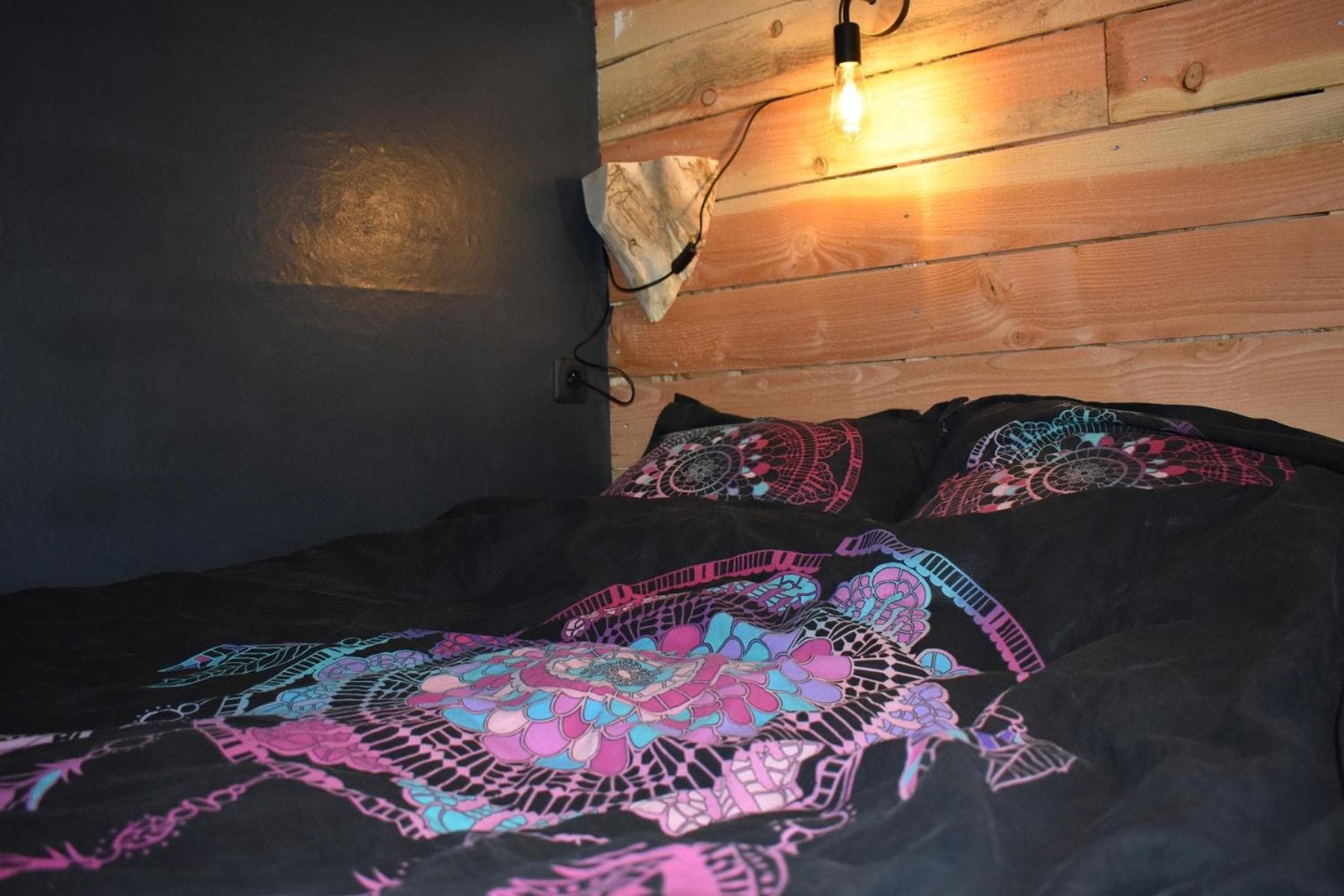 La cabane aux écureuils photo 9