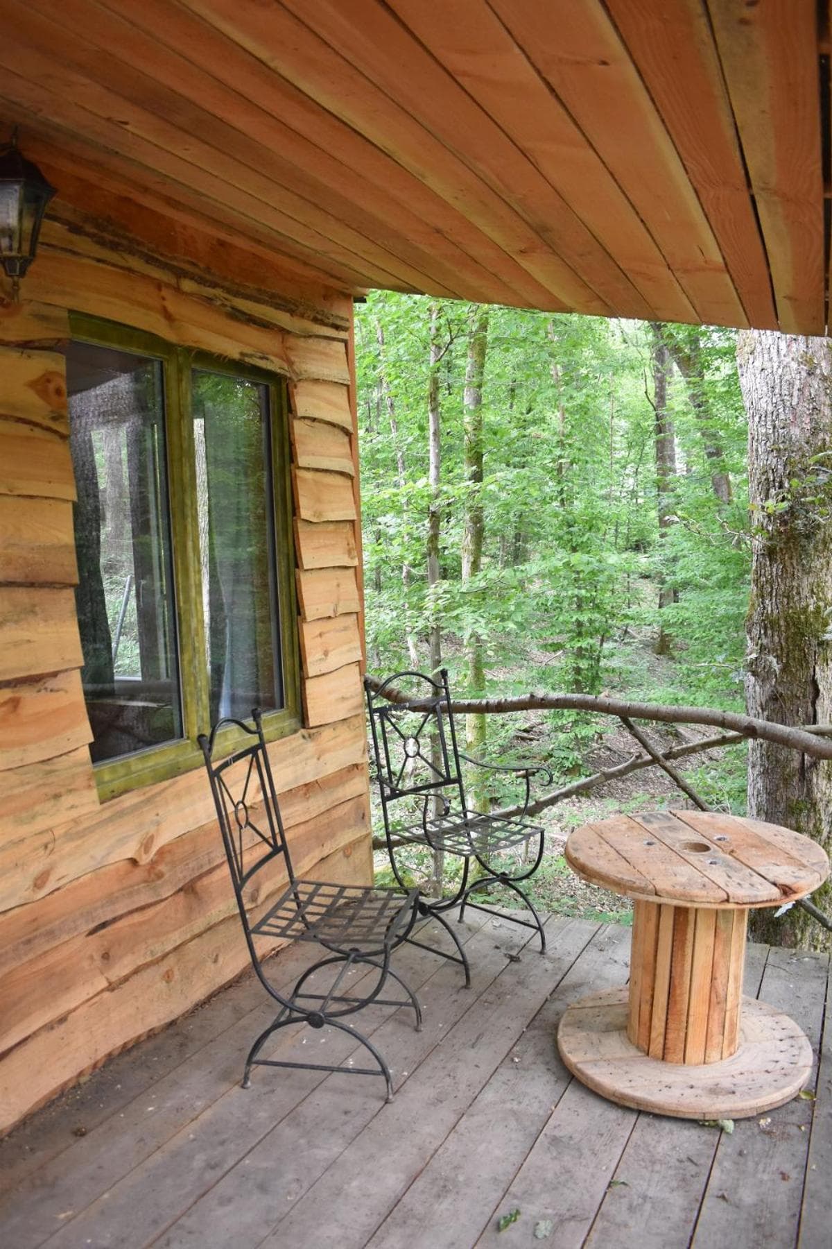 La cabane aux écureuils photo 8