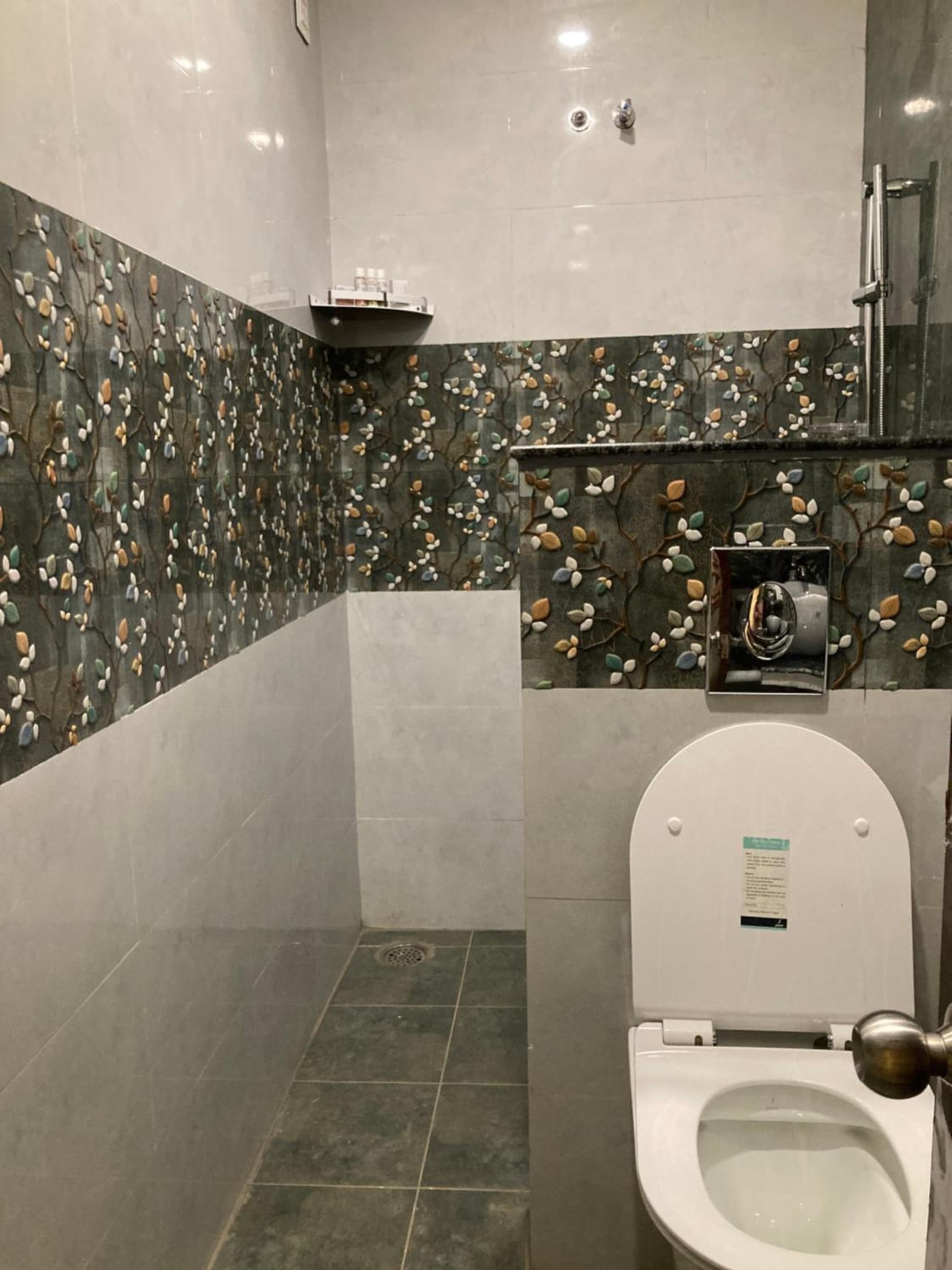 MURALI KRISHNA APART HOTEL photo 8