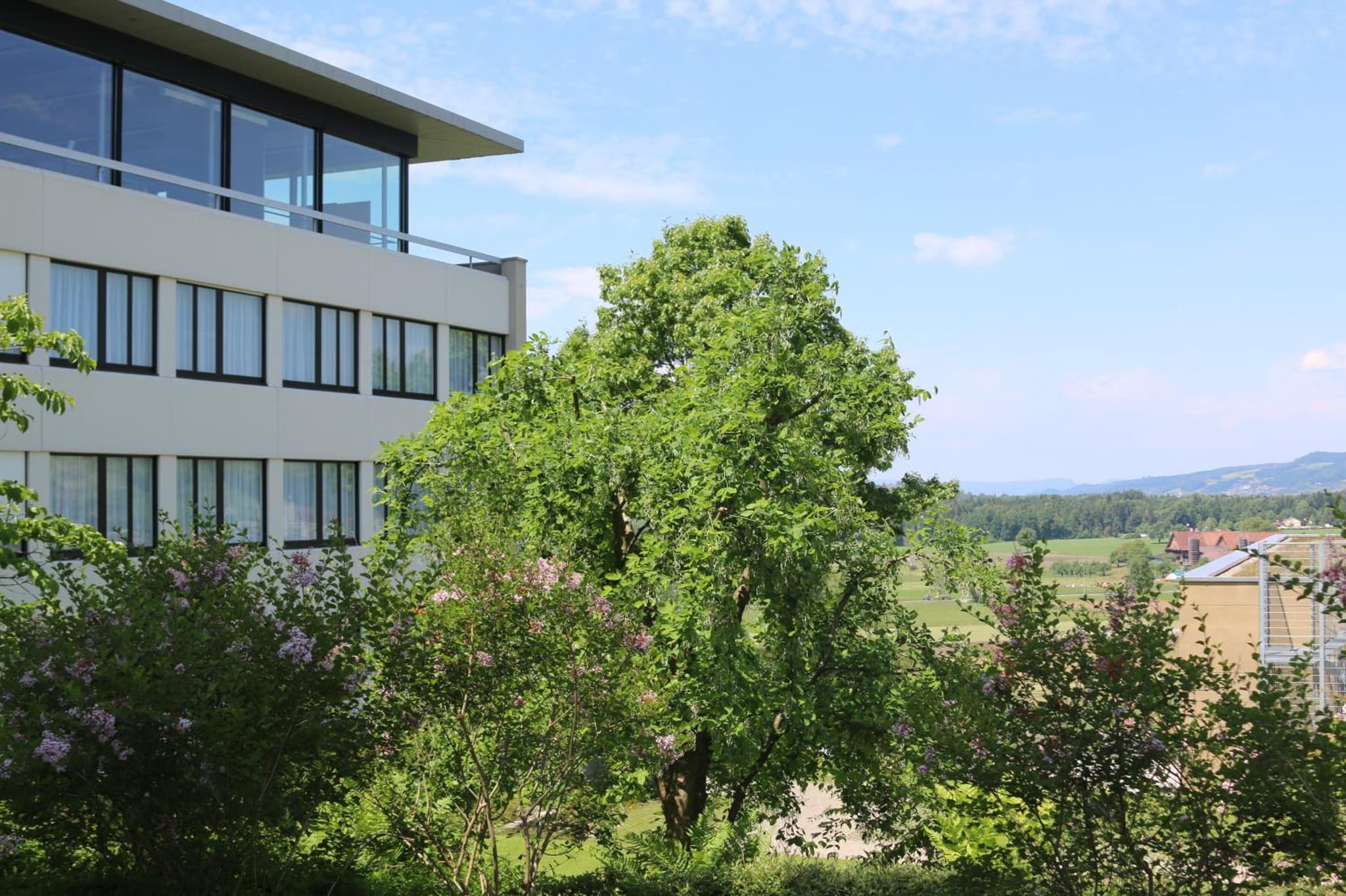 Seminarhotel CAMPUS SURSEE photo 9