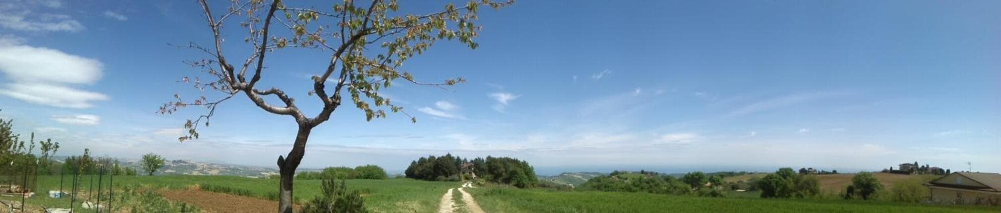 B&B Il Nido Di Alice photo 8
