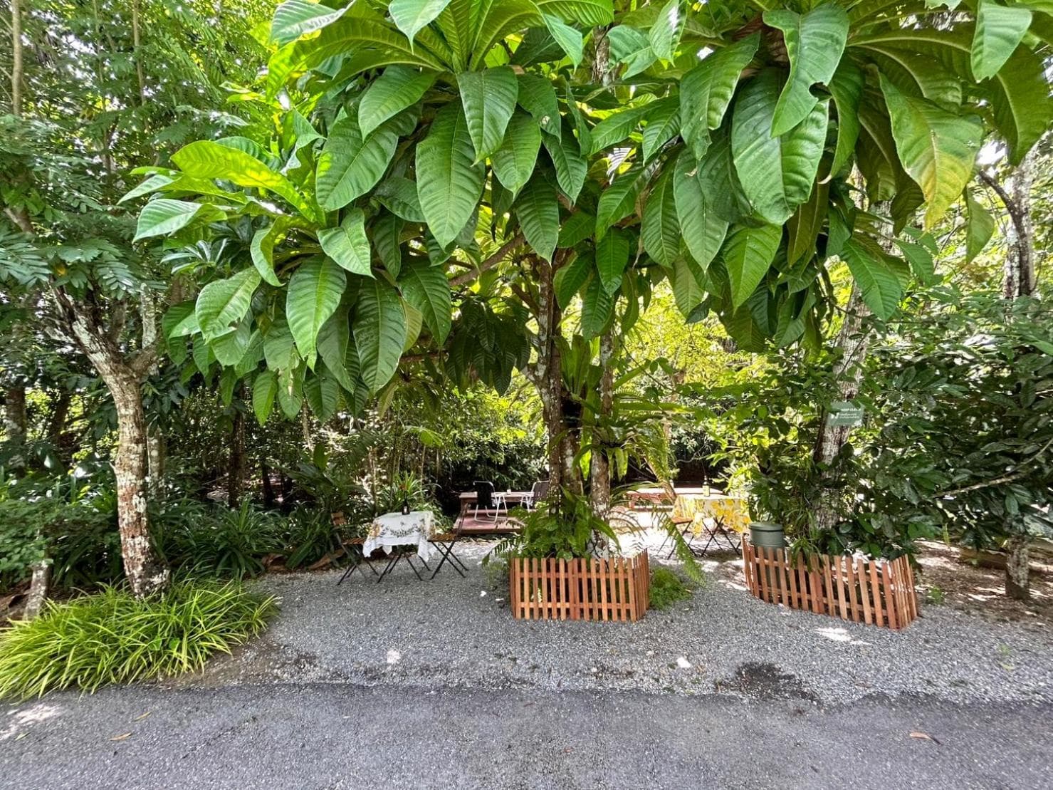 Blu Monkey Pooltara Krabi Hotel & Villas Pet Friendly photo 8