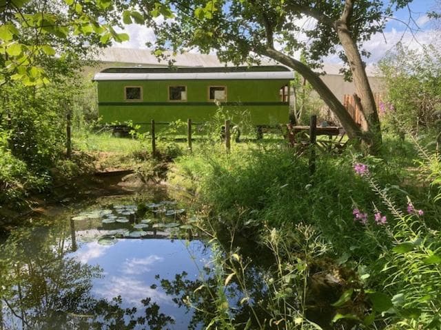 Ecostay de Wildernis photo 4