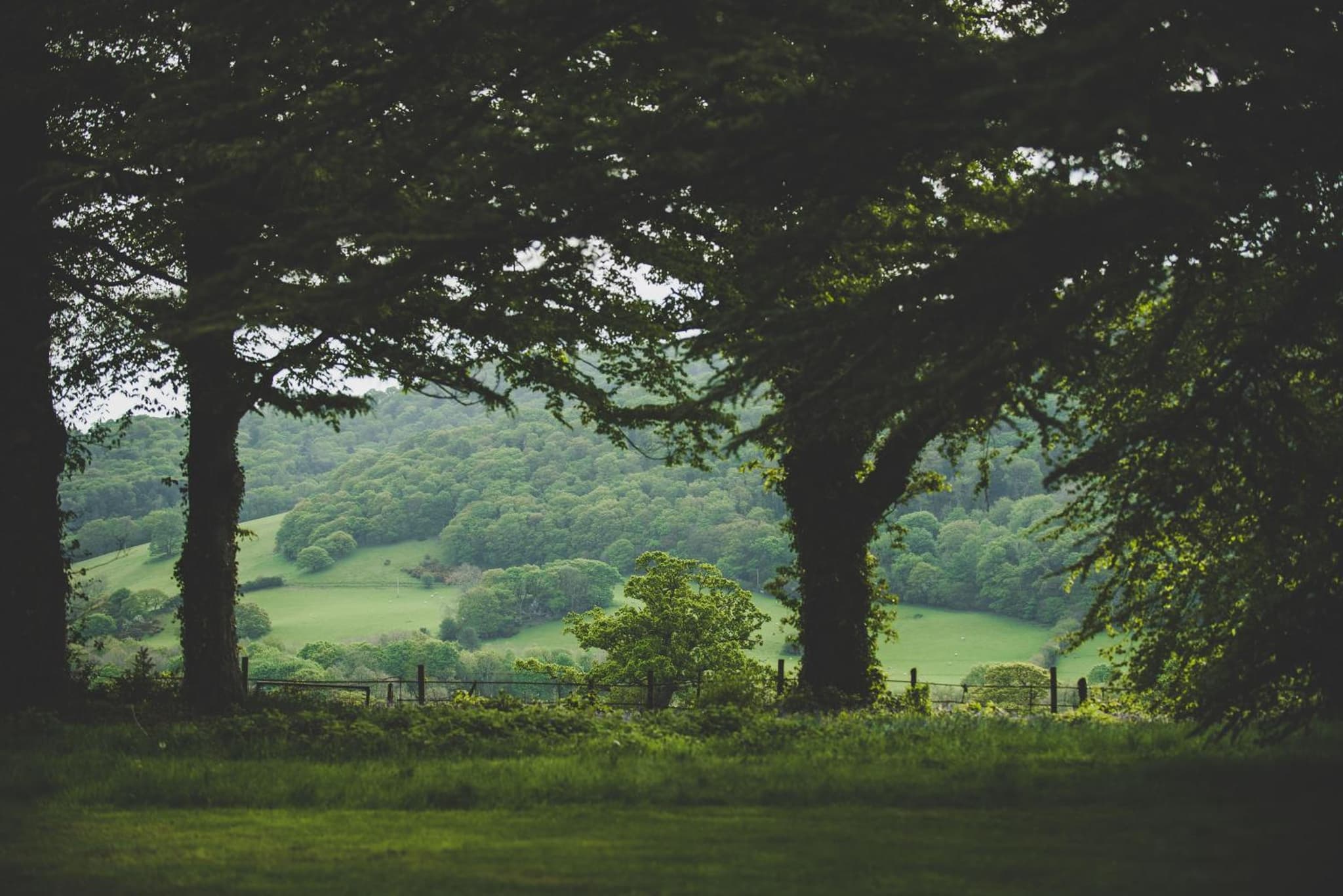 Caer Rhun Hall Hotel photo 6