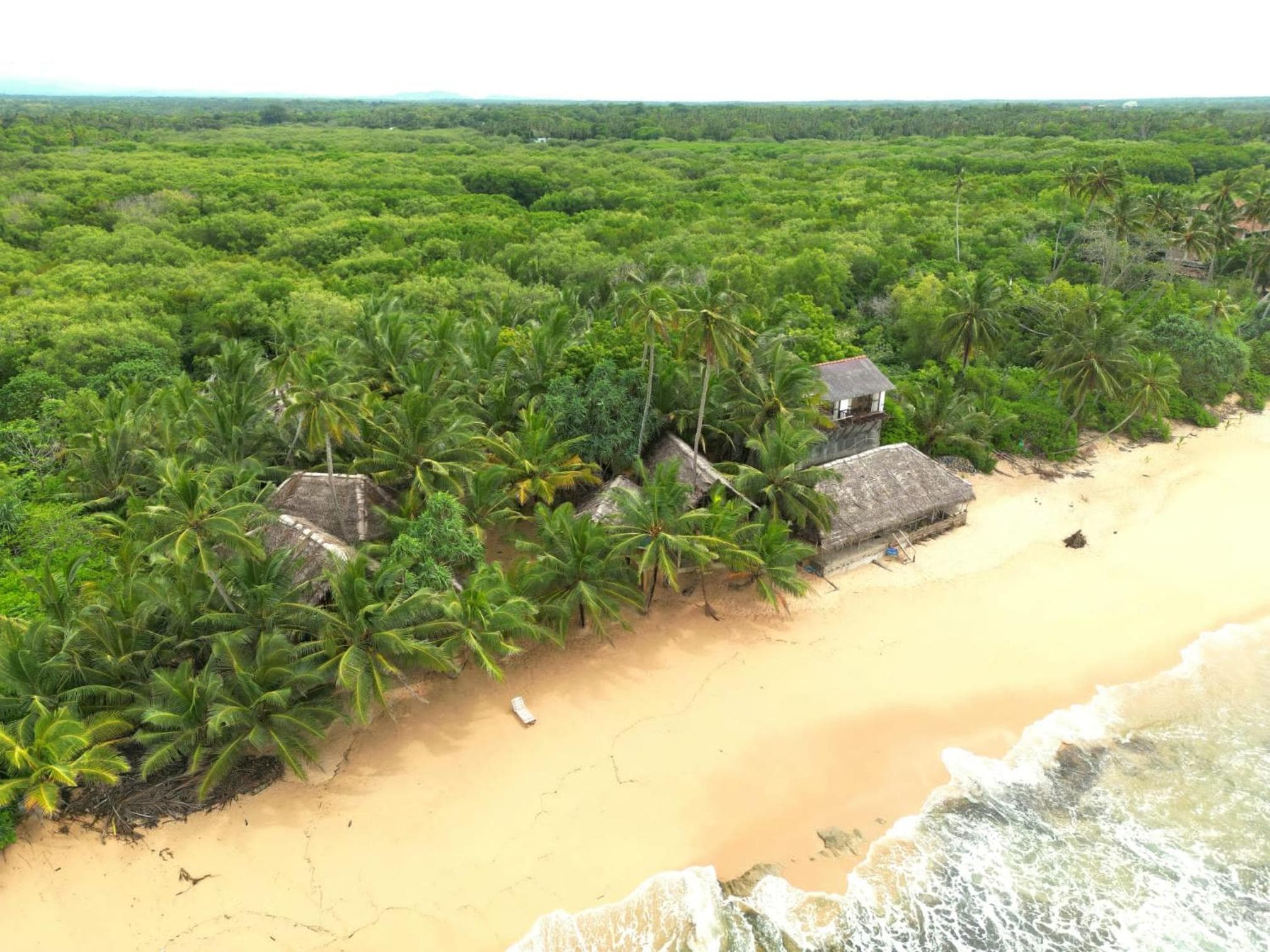 The Alpha Monkey hotel & Tree house photo 4