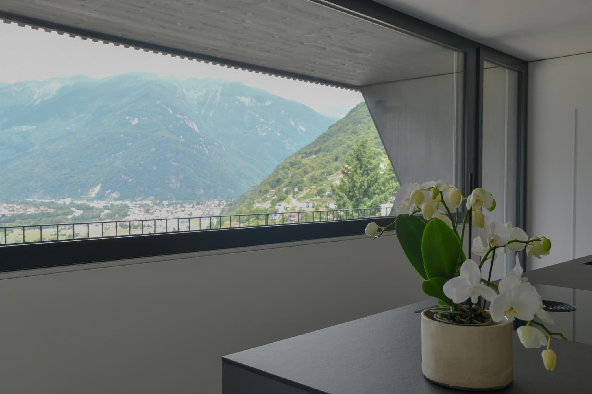 The Window photo 7