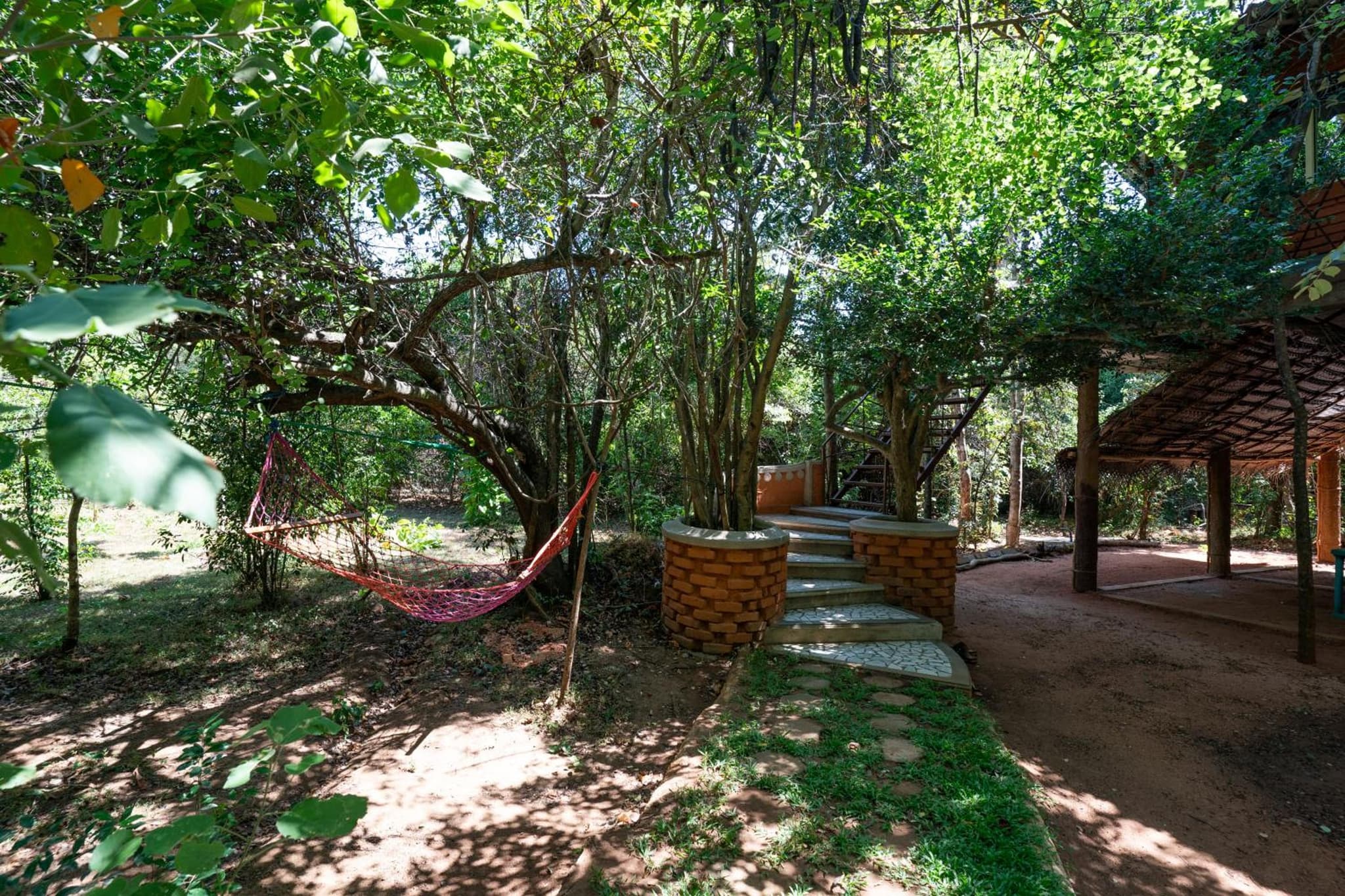 The Thick Forest photo 2