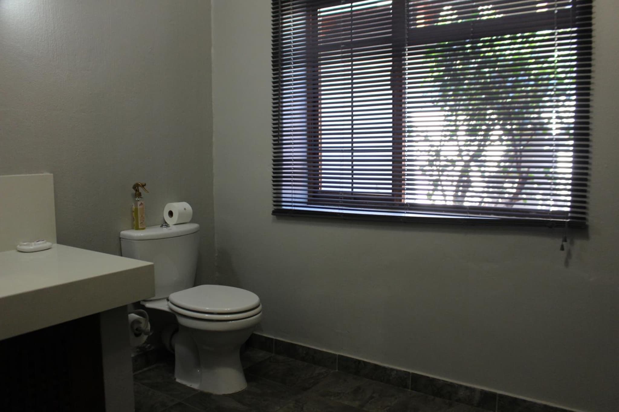 Ikamu's lodge photo 2